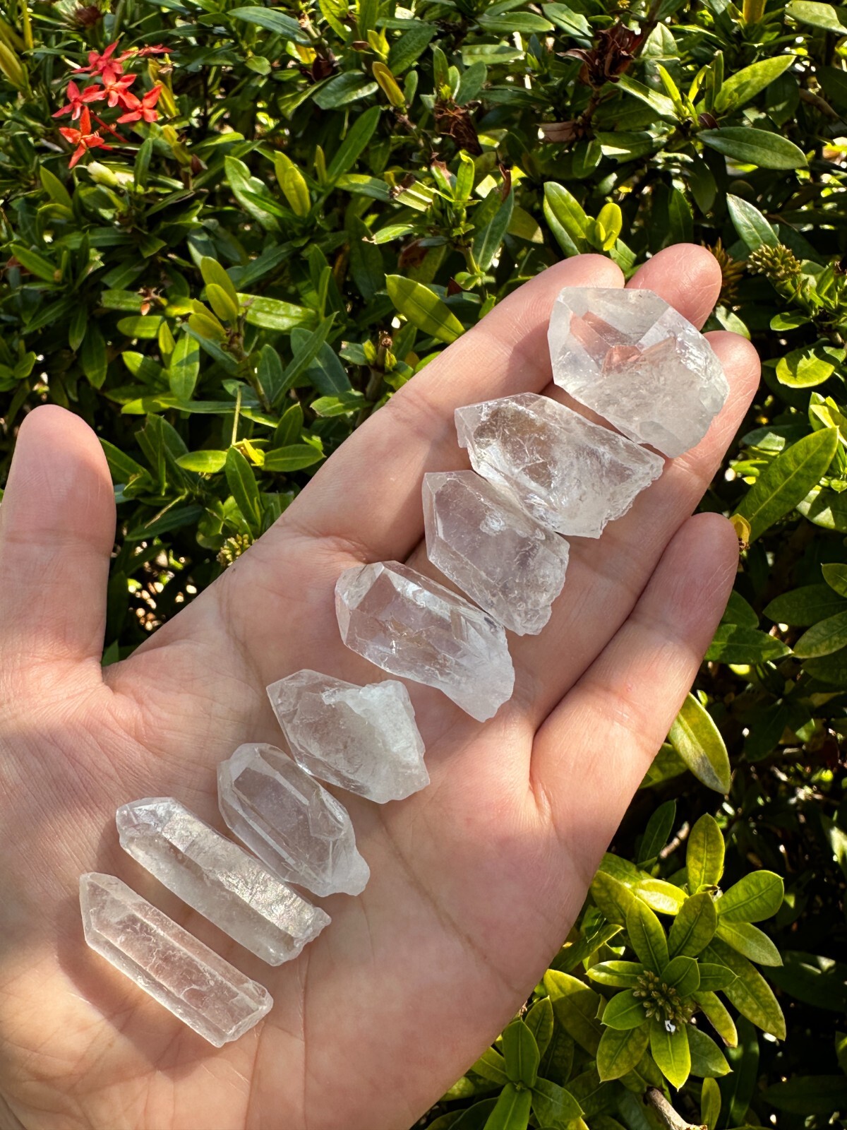 0.75″ – 1.5″ Small Rough Clear Quartz Point, Raw Healing Crystals, Wholesale Lot
