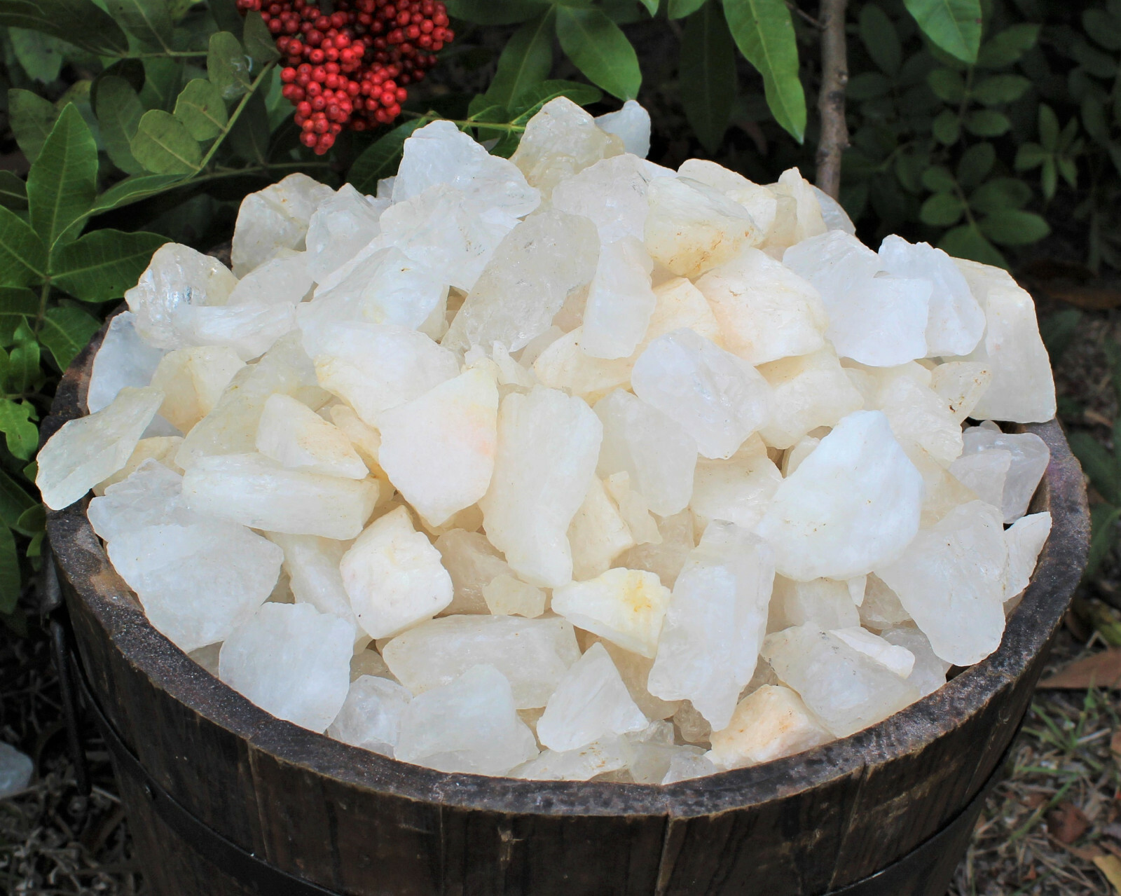 1/2 lb Bulk Lot Natural Rough Clear Quartz Crystals (Raw Gemstone Healing 8 oz)