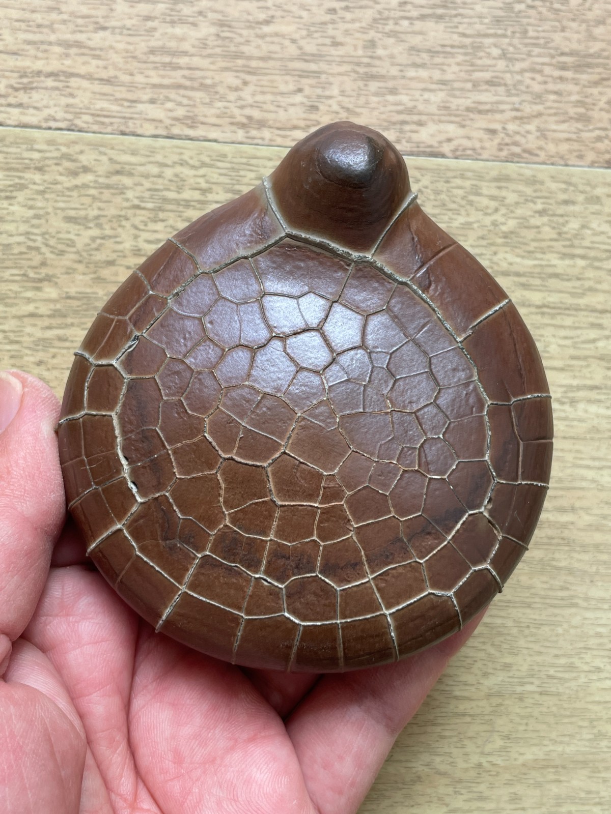 412g beautiful Natural tortoise back pattern stone Moire stone Landscape stone