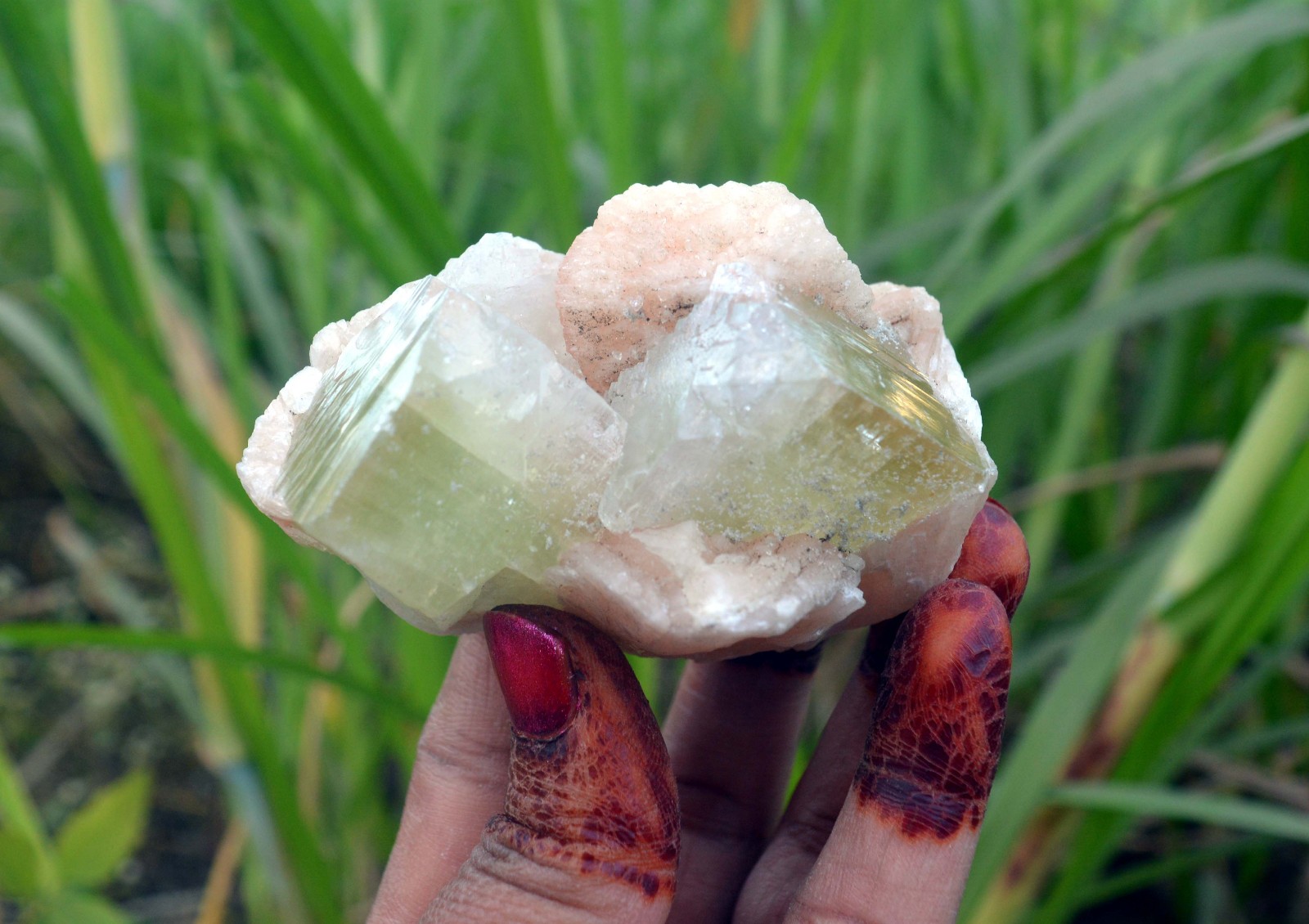 apophyllite crystals w/ stilbite minerals specimen j-1