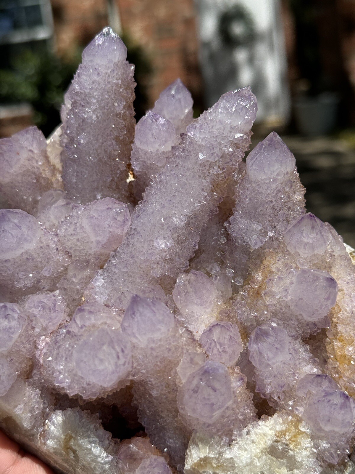 High Grade XXL (5.7lbs) Long Finger Deep Lavender Spirit Cactus Quartz cluster