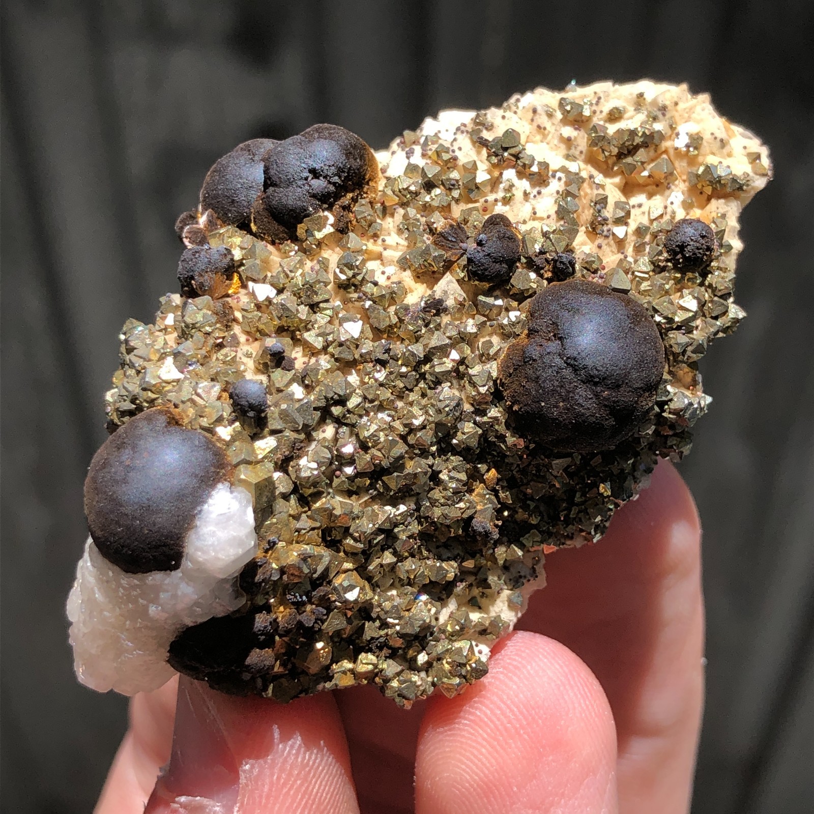 6.3cm Goethite on Pyrite, Calcite & Dolomite Crystals from Wawa, Ontario, Canada