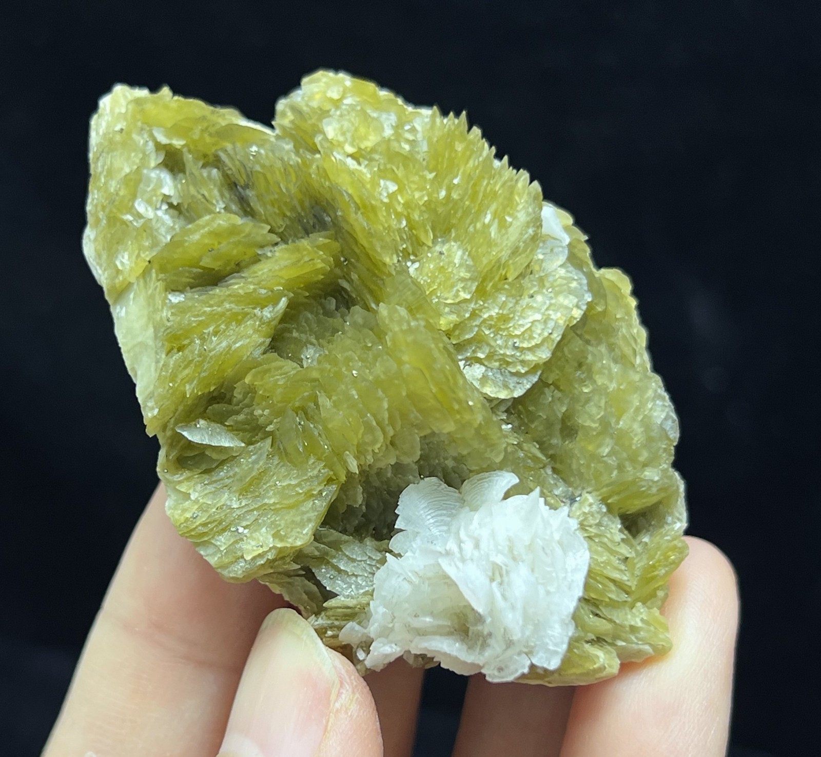 65mm 82g Dolomite on Siderite cluster, Natural Mineral