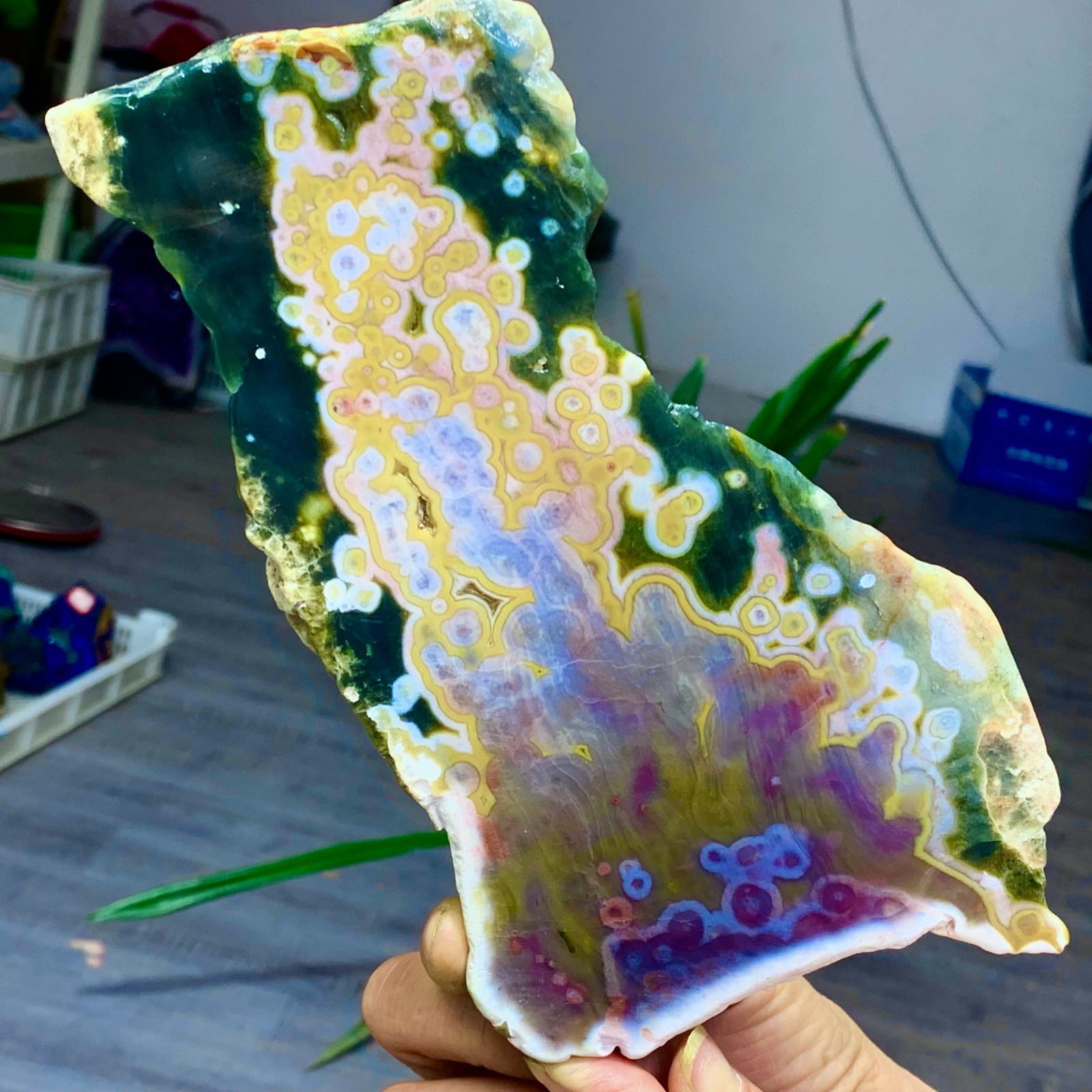 584G Natural ocean jasper crystal slab spiritual energy repairmineral Specim