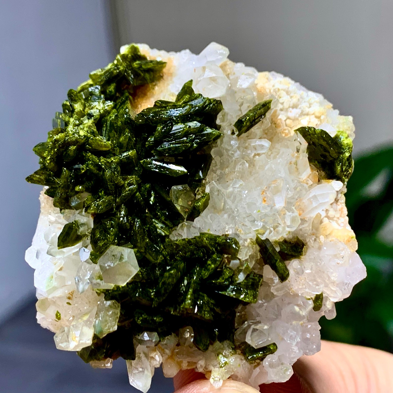 46g Natural Garden quartz cluster specimen tourmaline mineral healing SiChuan