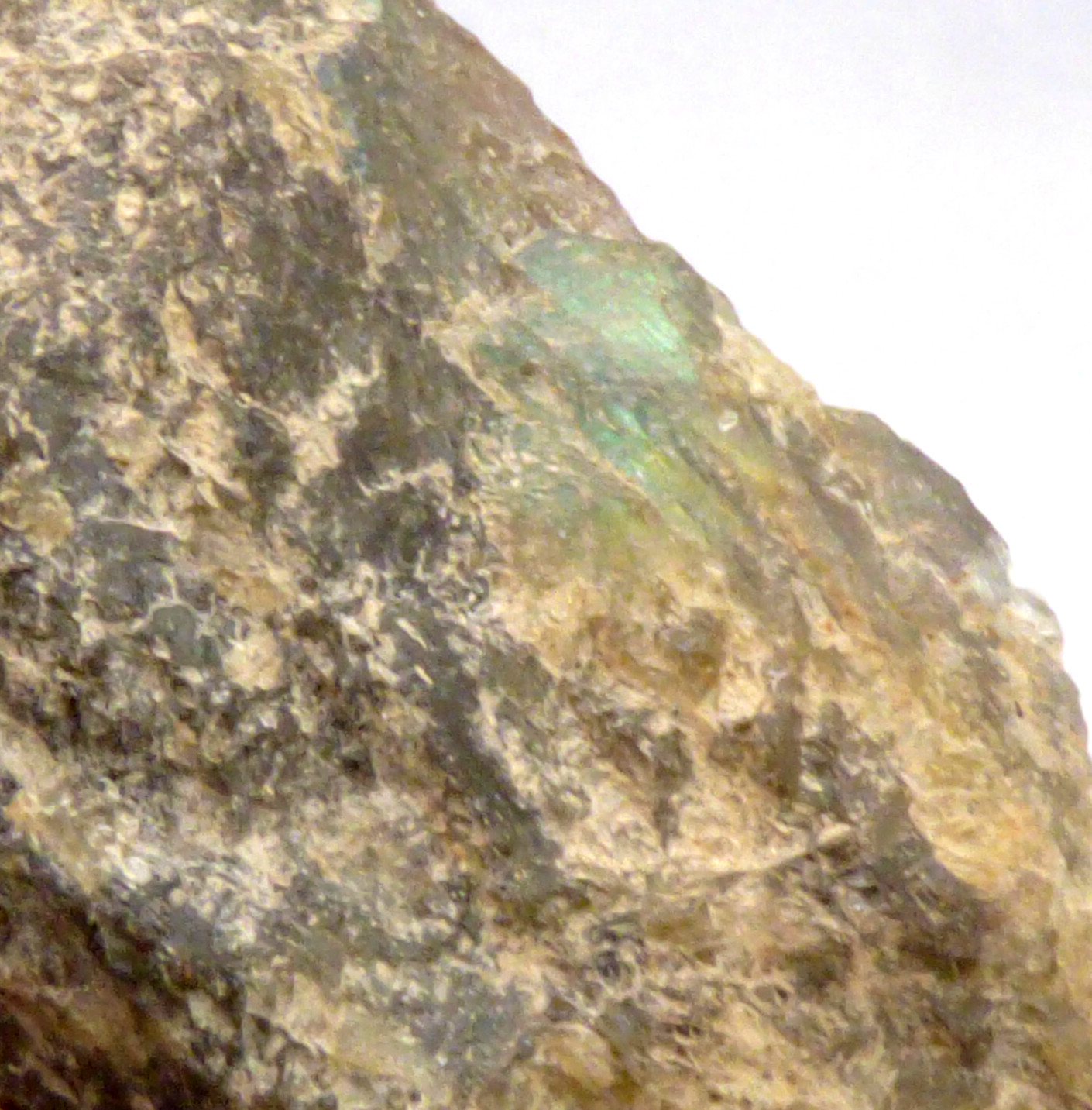 Labradorite Slice Blue Green Flash Iridescent Lustre Semi Polished Piece 5cm