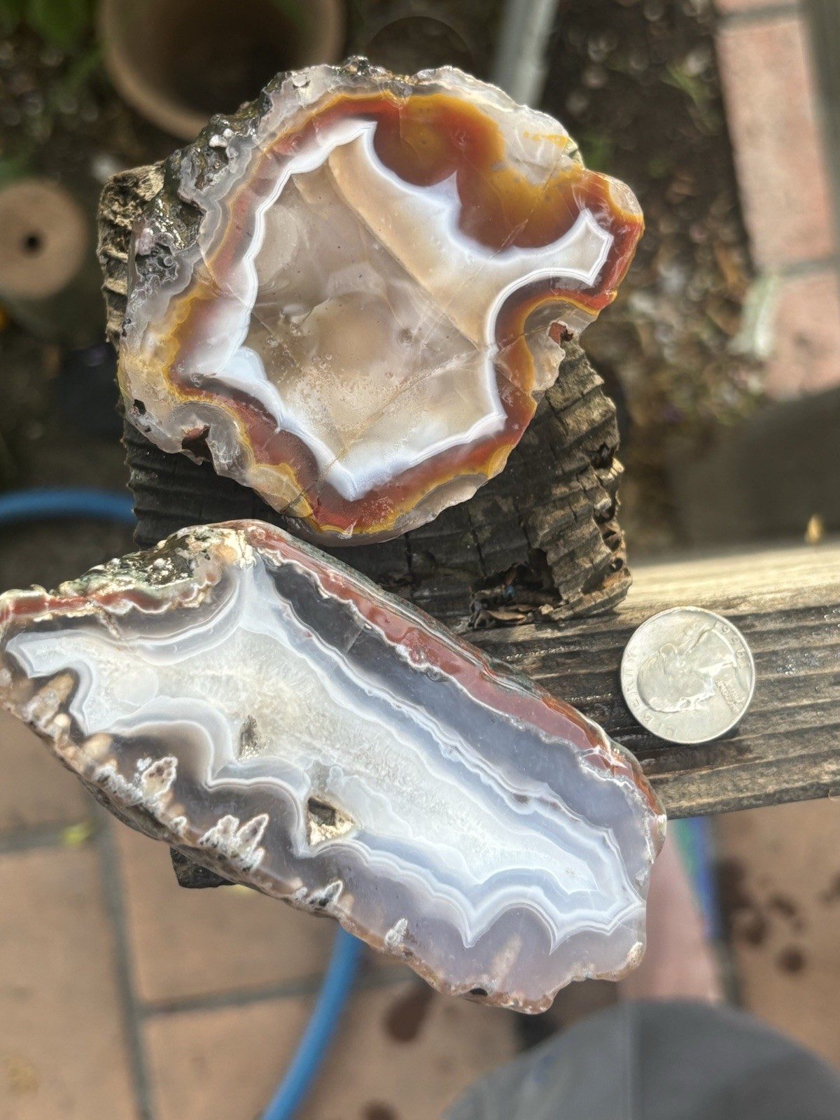Lot Of 2 Moroccan Agate Sliced Nodules – Rough – Lightly Tumbled