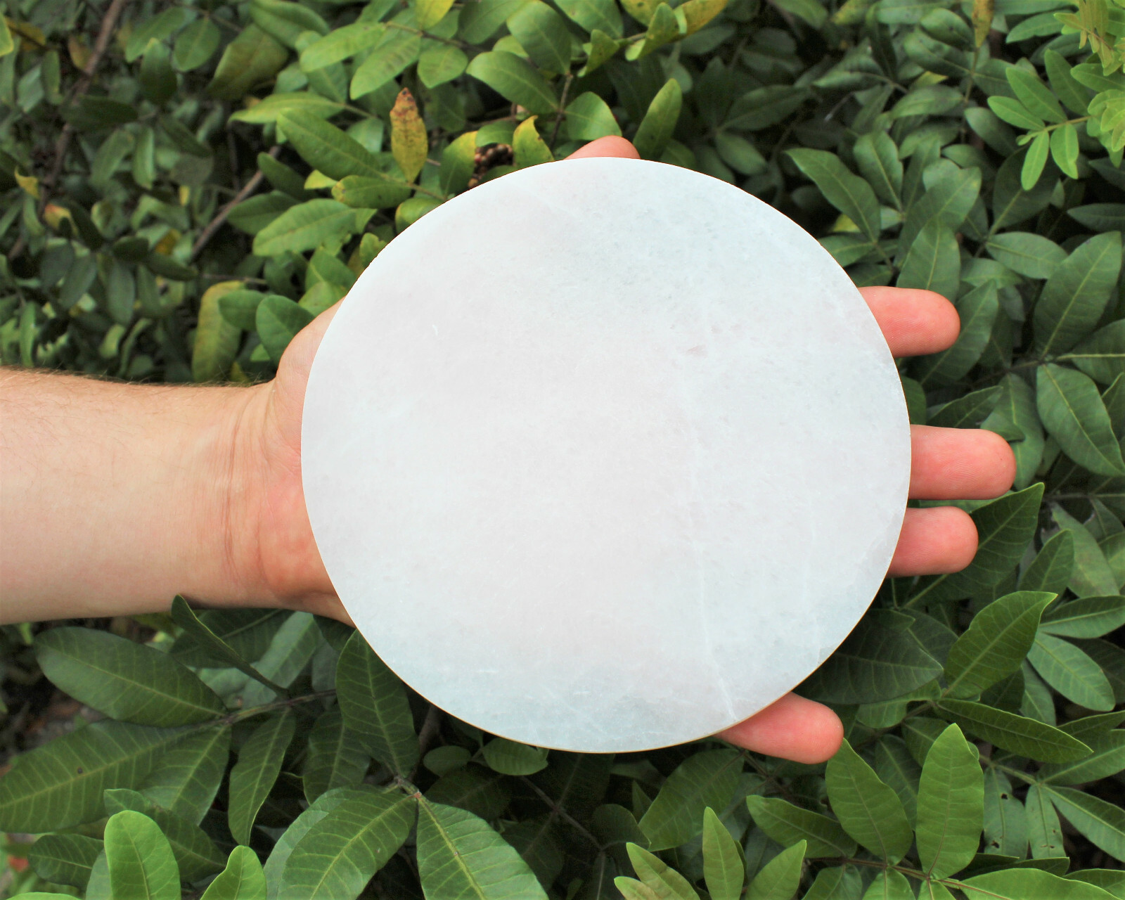 Selenite Charging Station: 6″ Flat Circle / Round Polished Crystal Plate LARGE