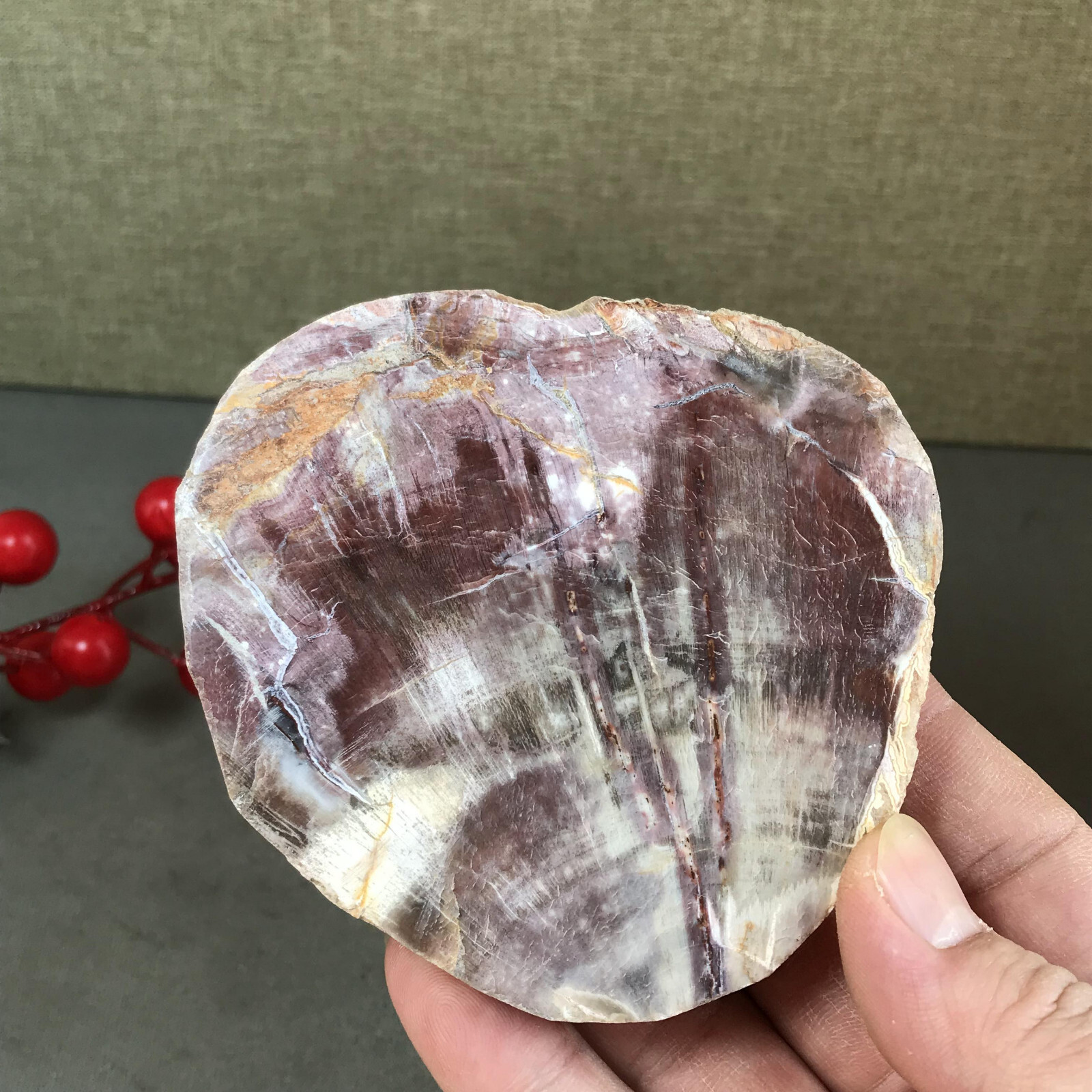 94mm natural Beautiful Petrified Wood Crystal Slice mineral specimen 259g A5431