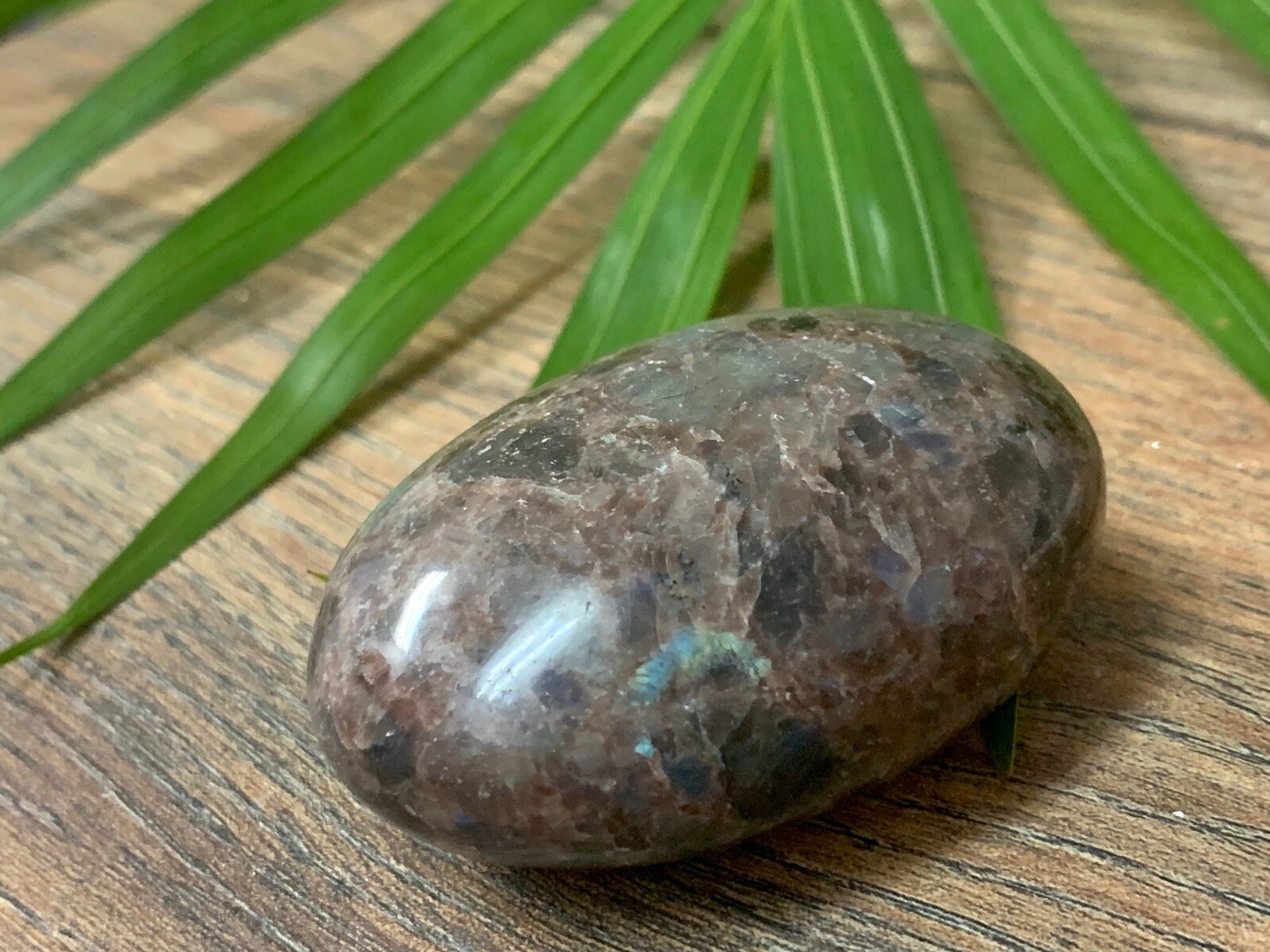Galaxy Palm Stone Large Soap Stone Flat Therapy Meditation Specimen Reiki Cha
