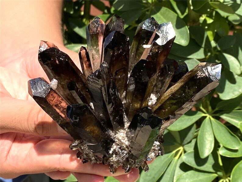 A+++ 300g+ Smokey Quartz Cluster Quartz Crystal Cluster Healing mineral gift 1pc