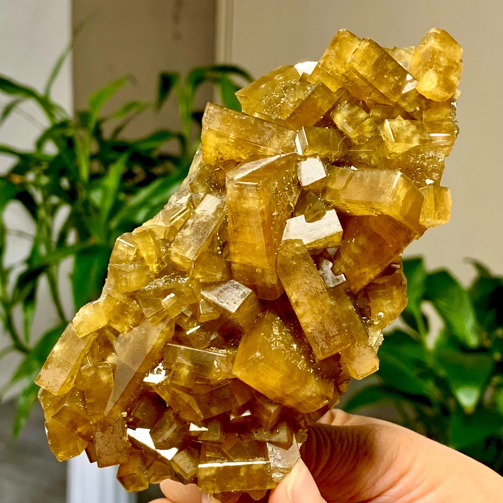 1.27LB Shiny Golden Cuboid Barite Crystal Based on the Purple Spherical Fluorite