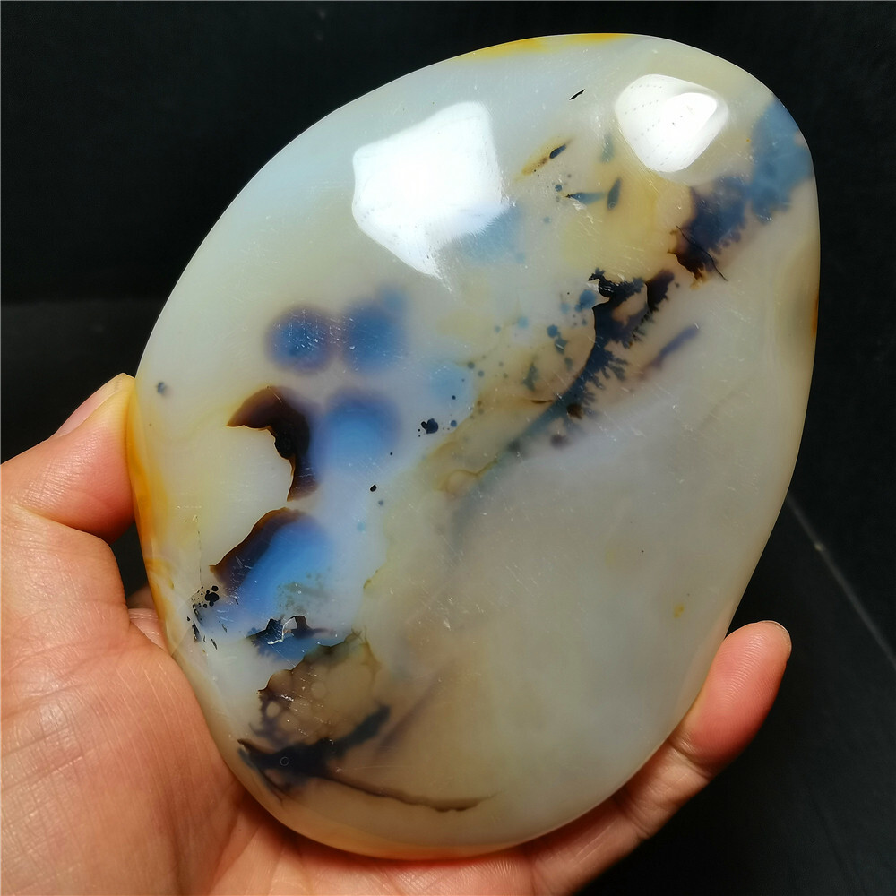 TOP 384 G Natural Polished Aquatic Plants Agate Crystal Madagascar BY384