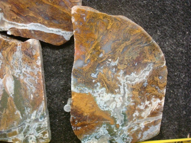 maury mountain moss 2 end cuts 1 slab polished on the face