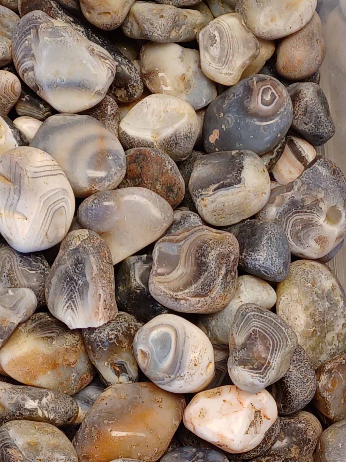 Botswana Agate rough 1-2″ A+ pound lbs tumbling lapidary banding wholesale bulk