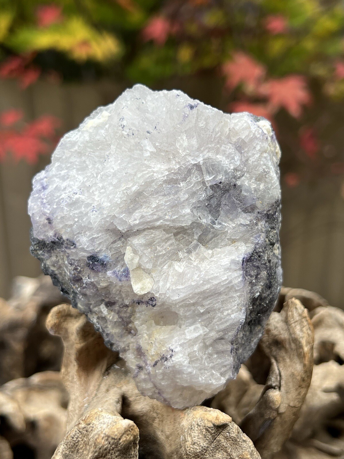 Blue John Fluorite Mineral Specimen United Kingdom 307g 10