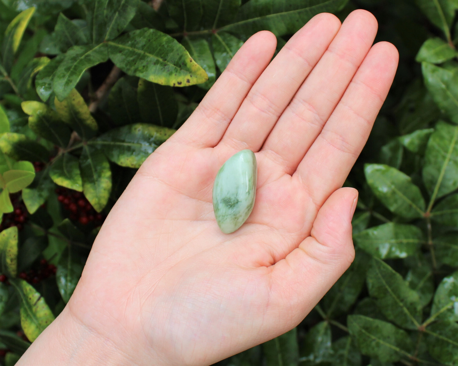 Light Jade Tumbled Stones: Choose How Many (Natural Green Jade Crystals)