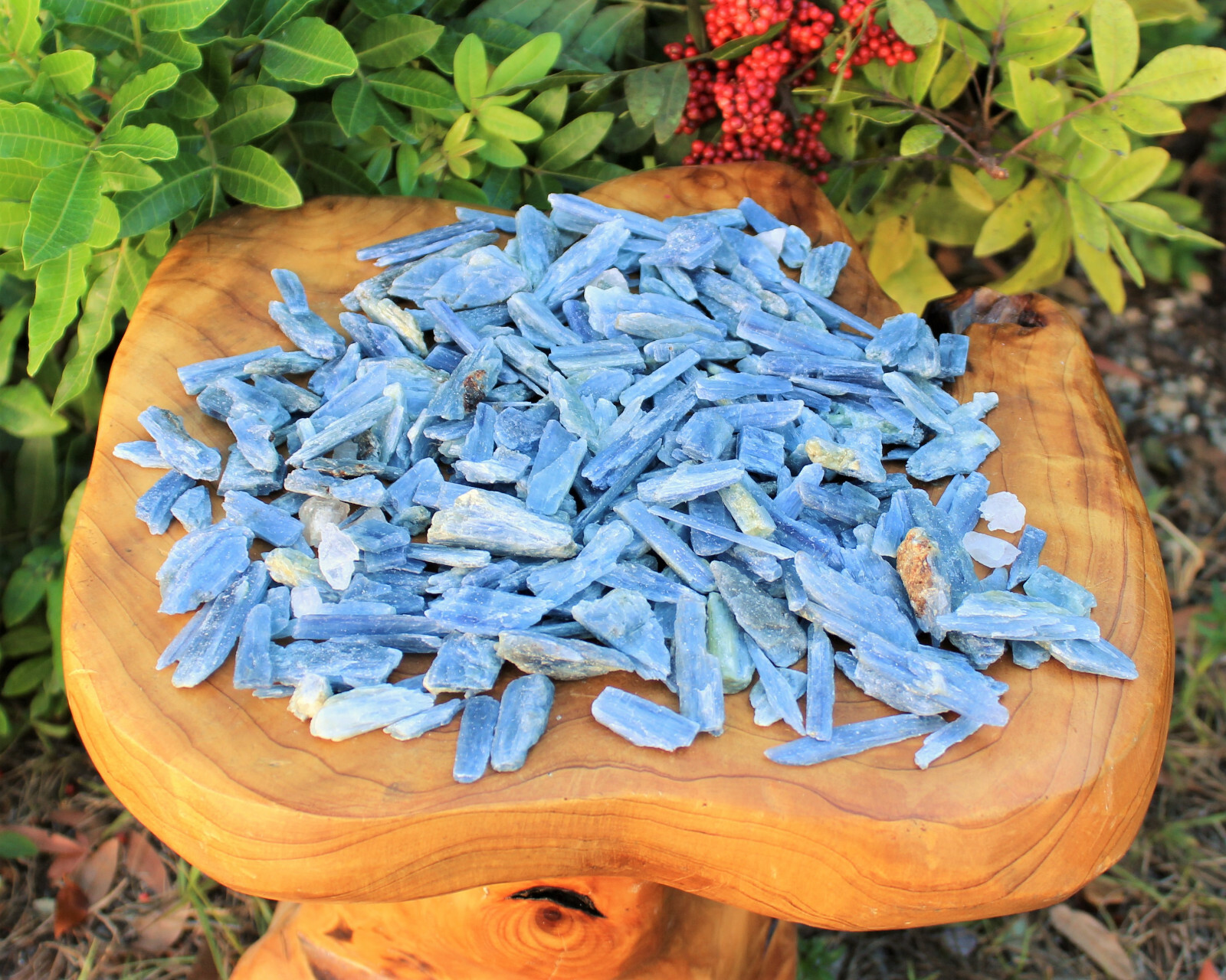 Blue Kyanite Blades Crystal Collection 1/2 lb Box Lot – Natural Kyanite Crystals