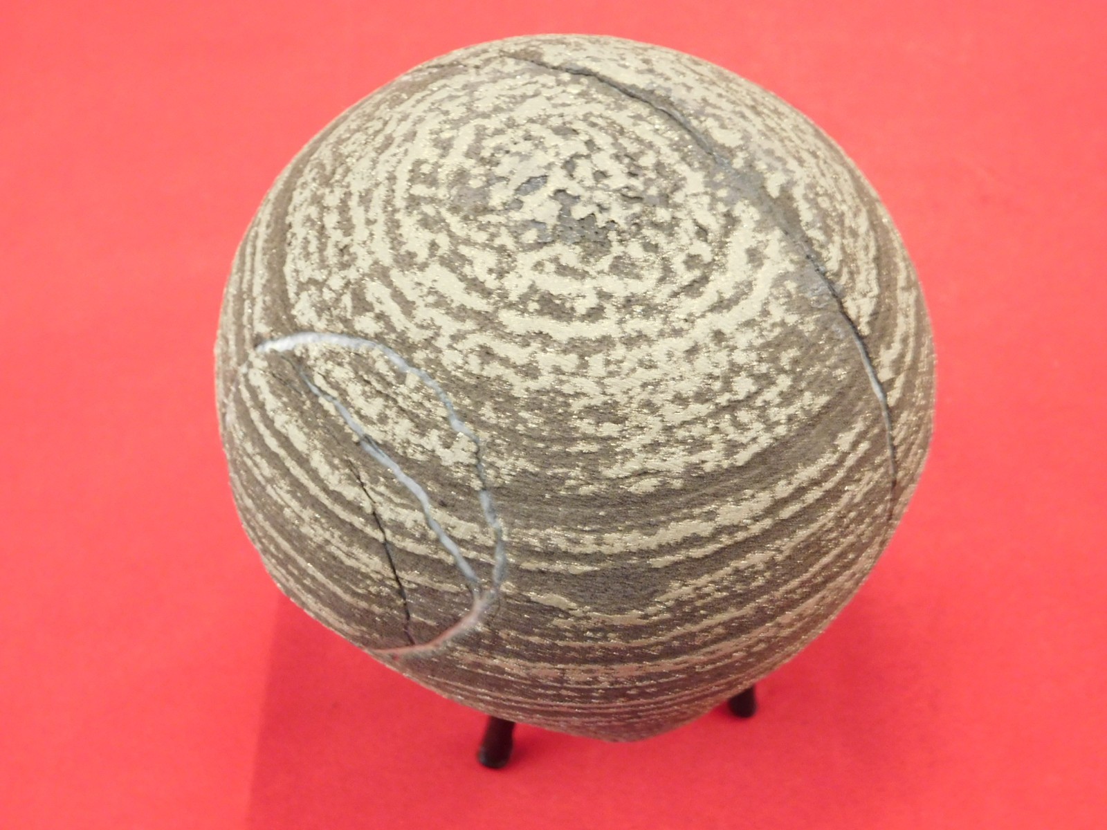 BIG! 100% Natural Ringed PYRITE Concretion From China! With Stand 1241gr