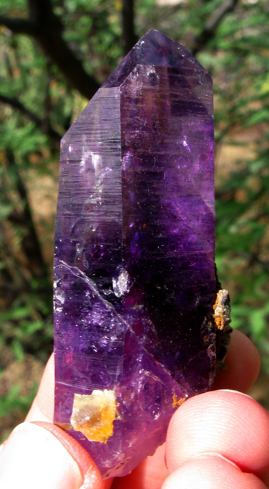 AMETHYST ENHYDRO Natural Crystal Point 2x Moving Water Bubble BRANDBERG Lemurian
