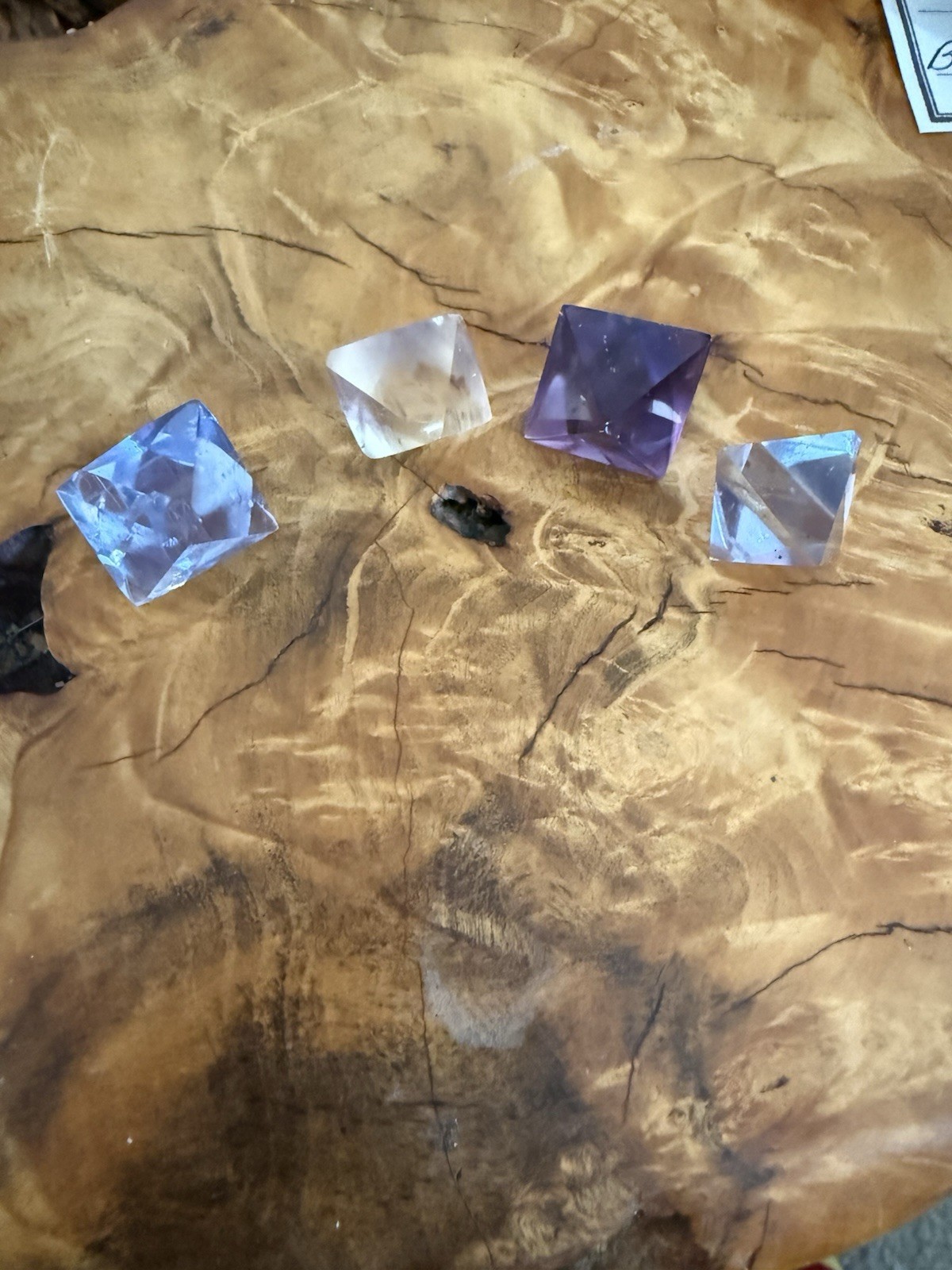 Set of 4 Fluorite Cleved Crystal Mineral Specimen Polished
