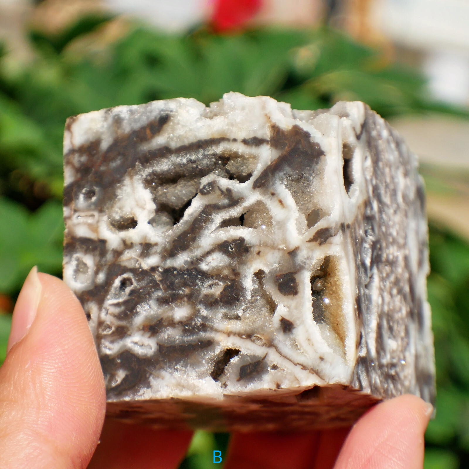 2″ Sphalerite Druzy Geode Cube Crystal Healing Gemstone Natural Mineral Specimen