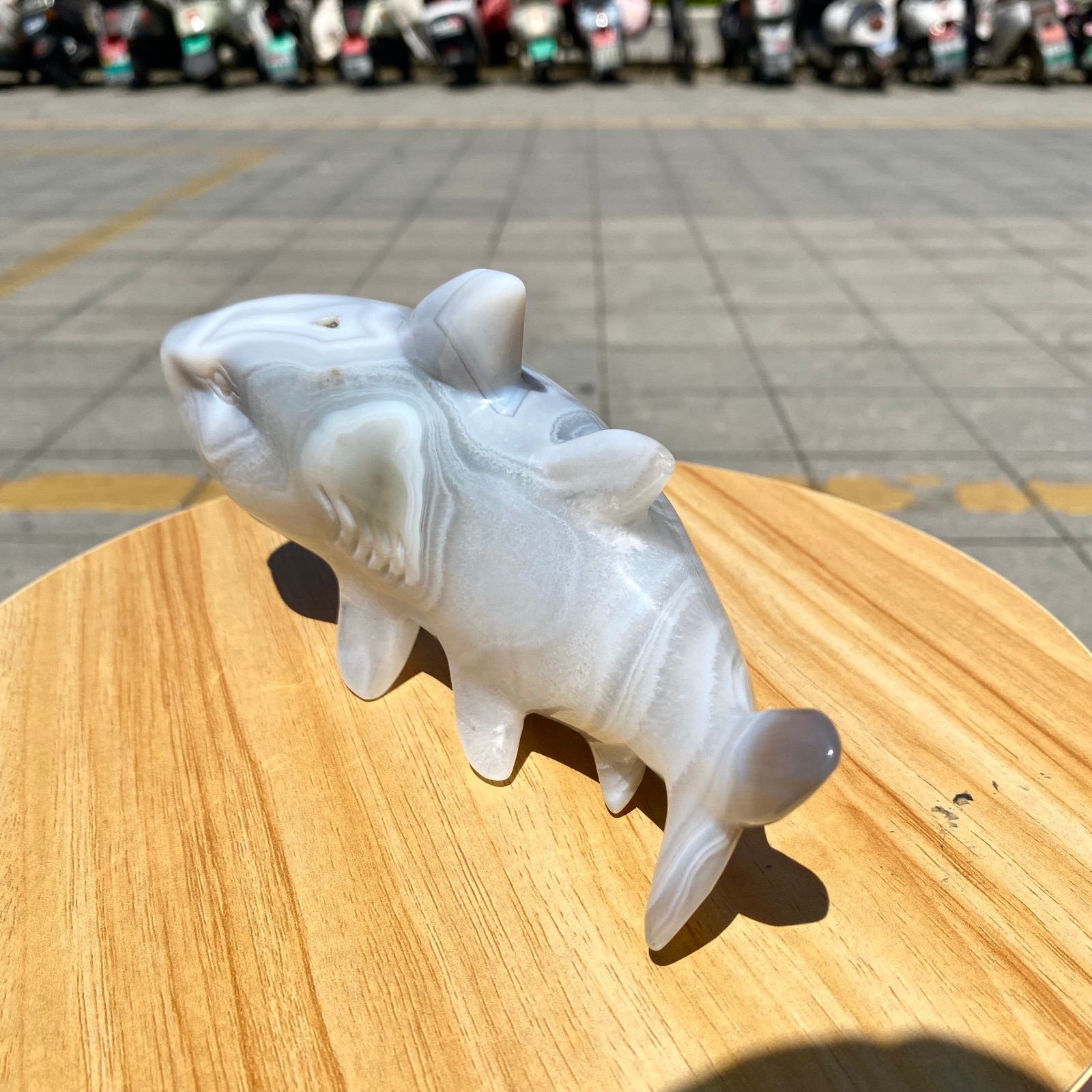 1.41LB Natural Agate Hand Carved Shark Figurine, Ocean Power Crystal Statue