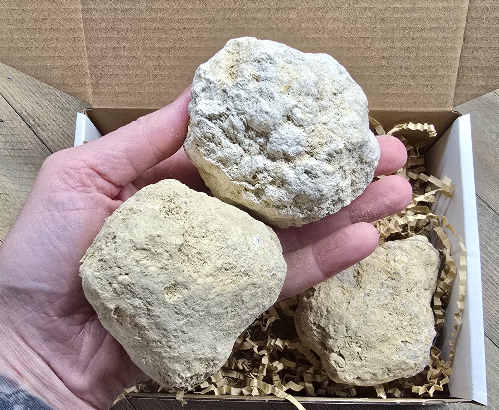 Break Your Own Geodes XL Large Unopened (2-3 pieces) Gift Box Quartz Crystal