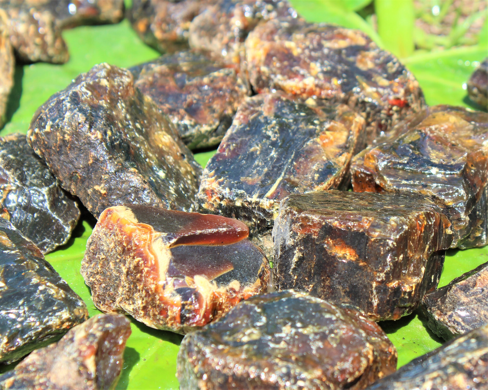 Indonesian Raw Amber CLEARANCE Wholesale Bulk lots (Natural Rough Amber Crystal)