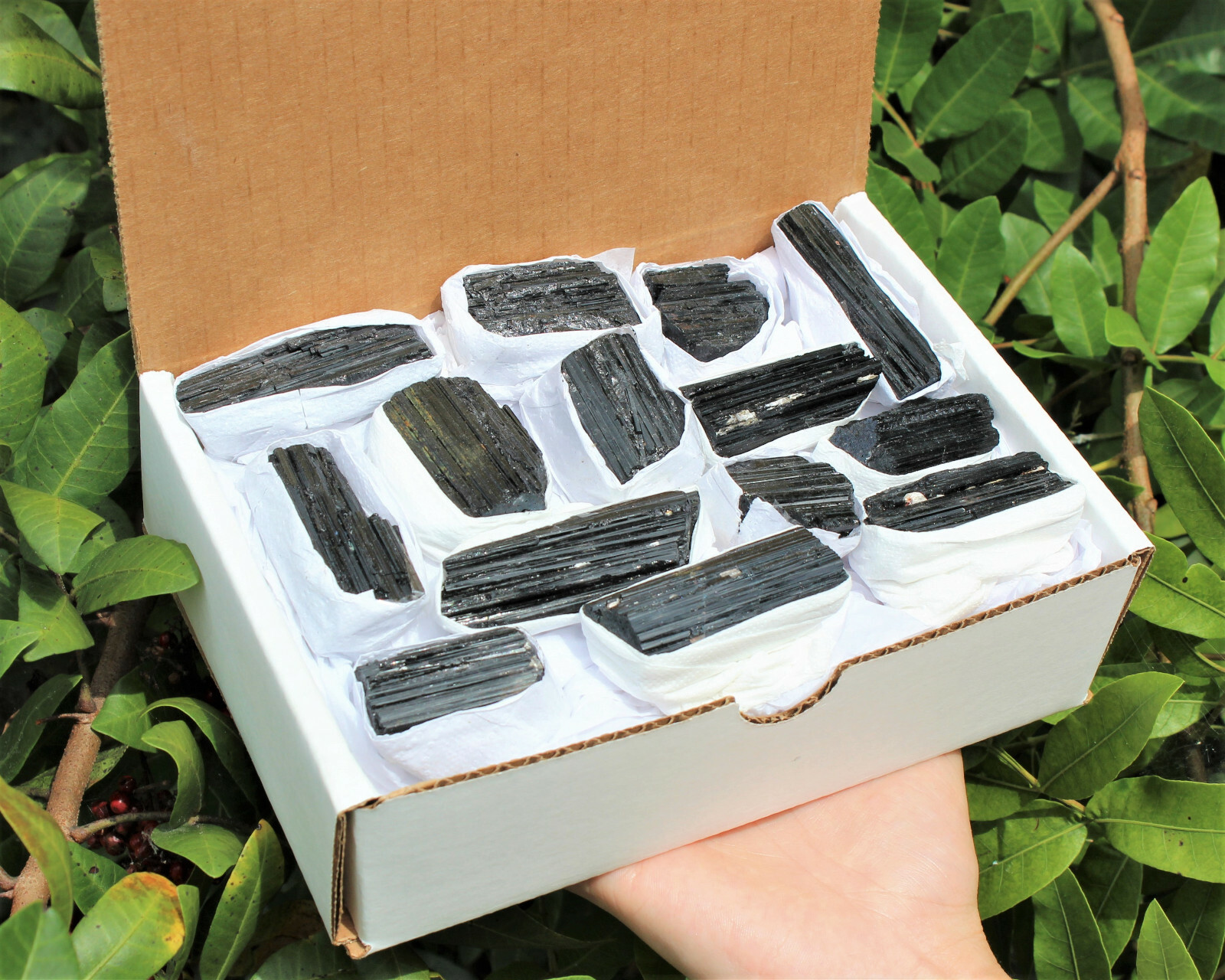 Bulk Extra Grade Shiny Natural Rough Black Tourmaline Rod Log Box 14 – 18 Piece