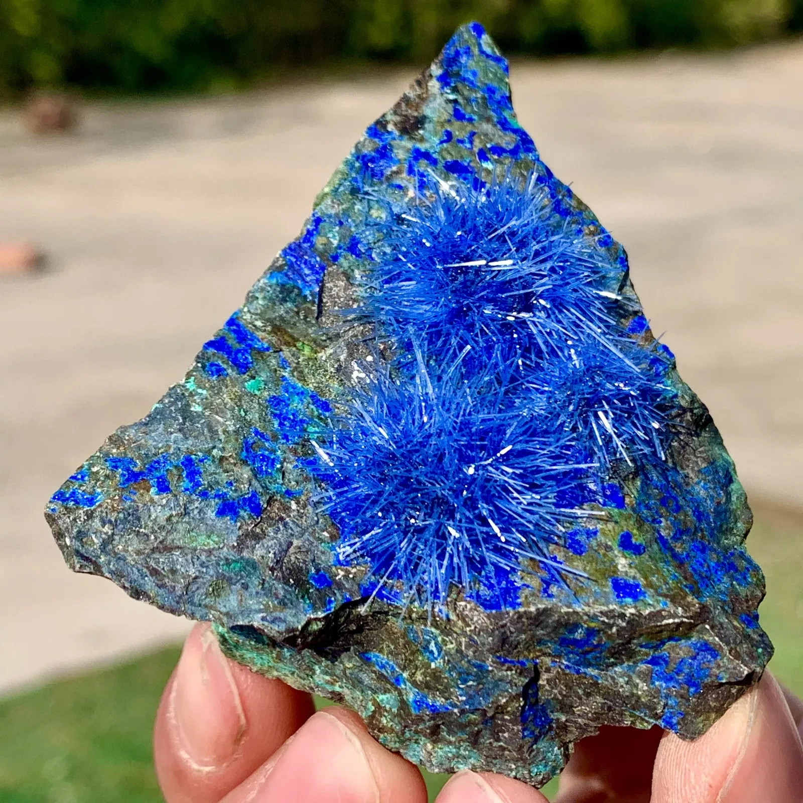 Natural Raw Dandelion Zeolite Cluster Titanium Geode Quartz Crystal SpecimenGift