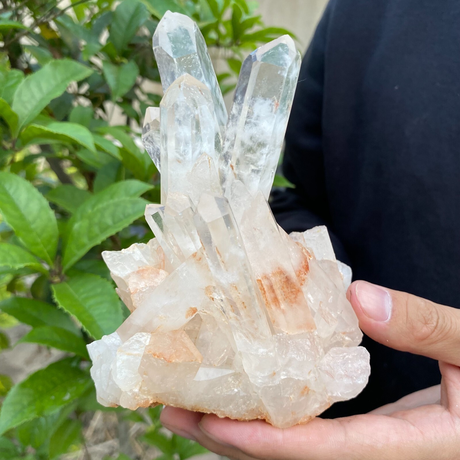 1.2lb Natural Clear White quart Crystal Cluster Raw Healing Specimen