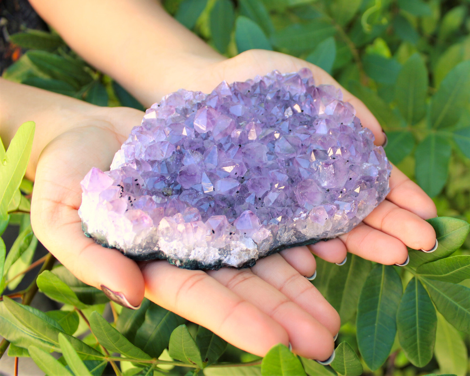 Clearance Amethyst Crystal Clusters – Natural ‘B’ Grade Cluster Druze Specimens