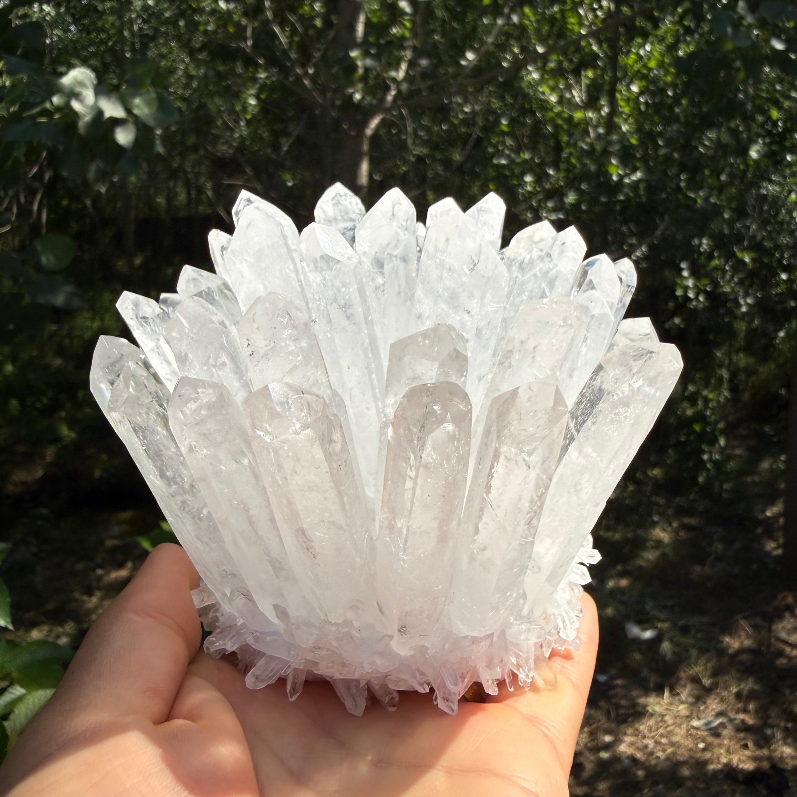 2.2LB Large Natural White Clear Quartz Cluster Crystal Mineral Healing 1pc