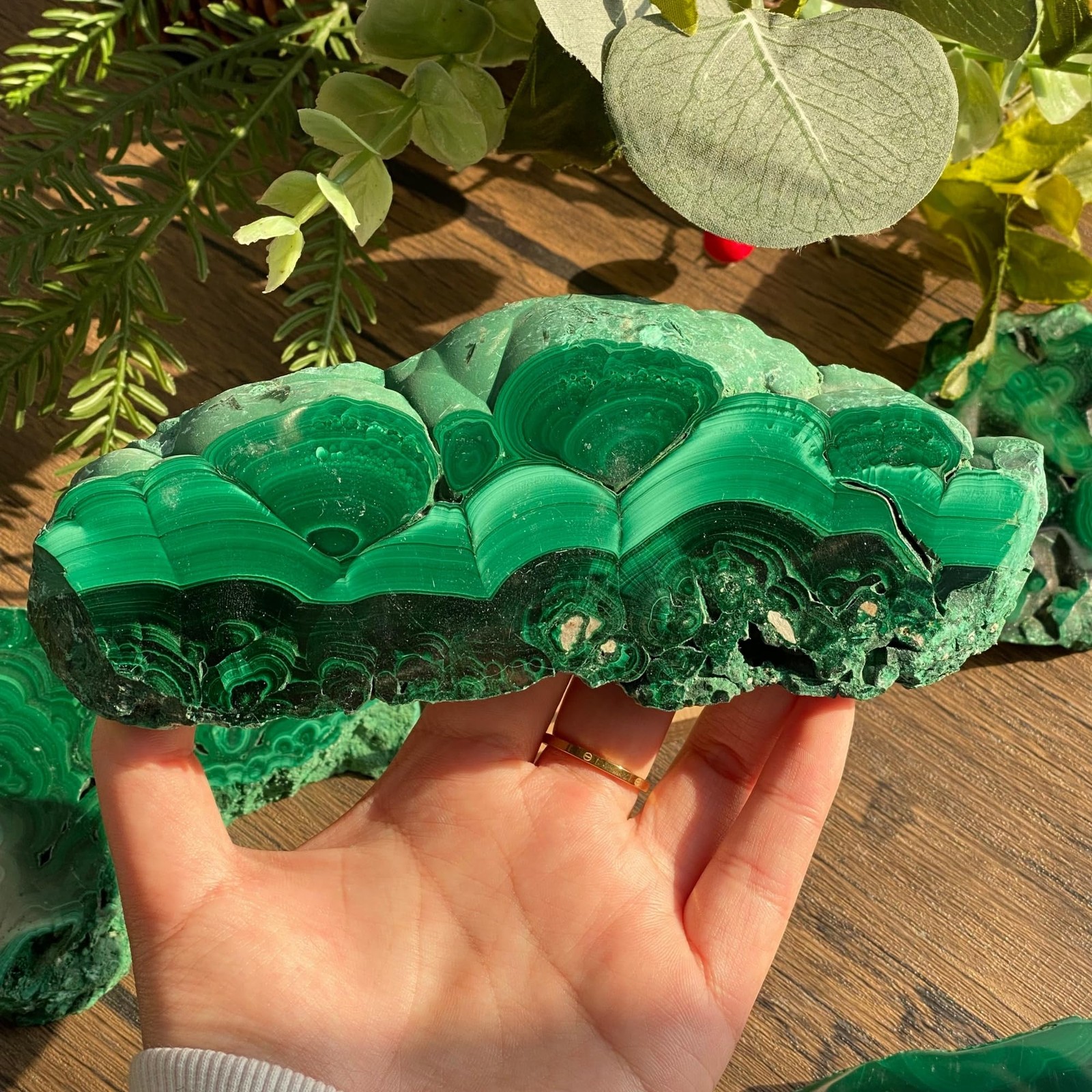 CrystalHola 1Pc Natural Malachite Slices,50-100g Small Size 50-100g, Green