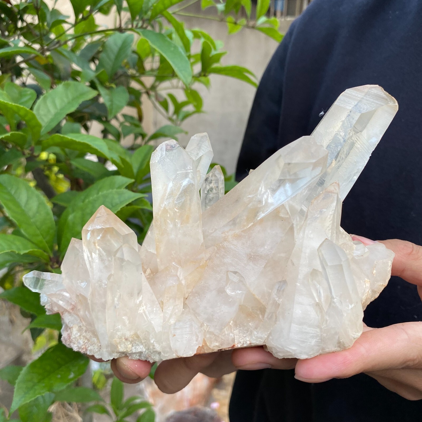 2lb Natural Clear White quart Crystal Cluster Raw Healing Specimen