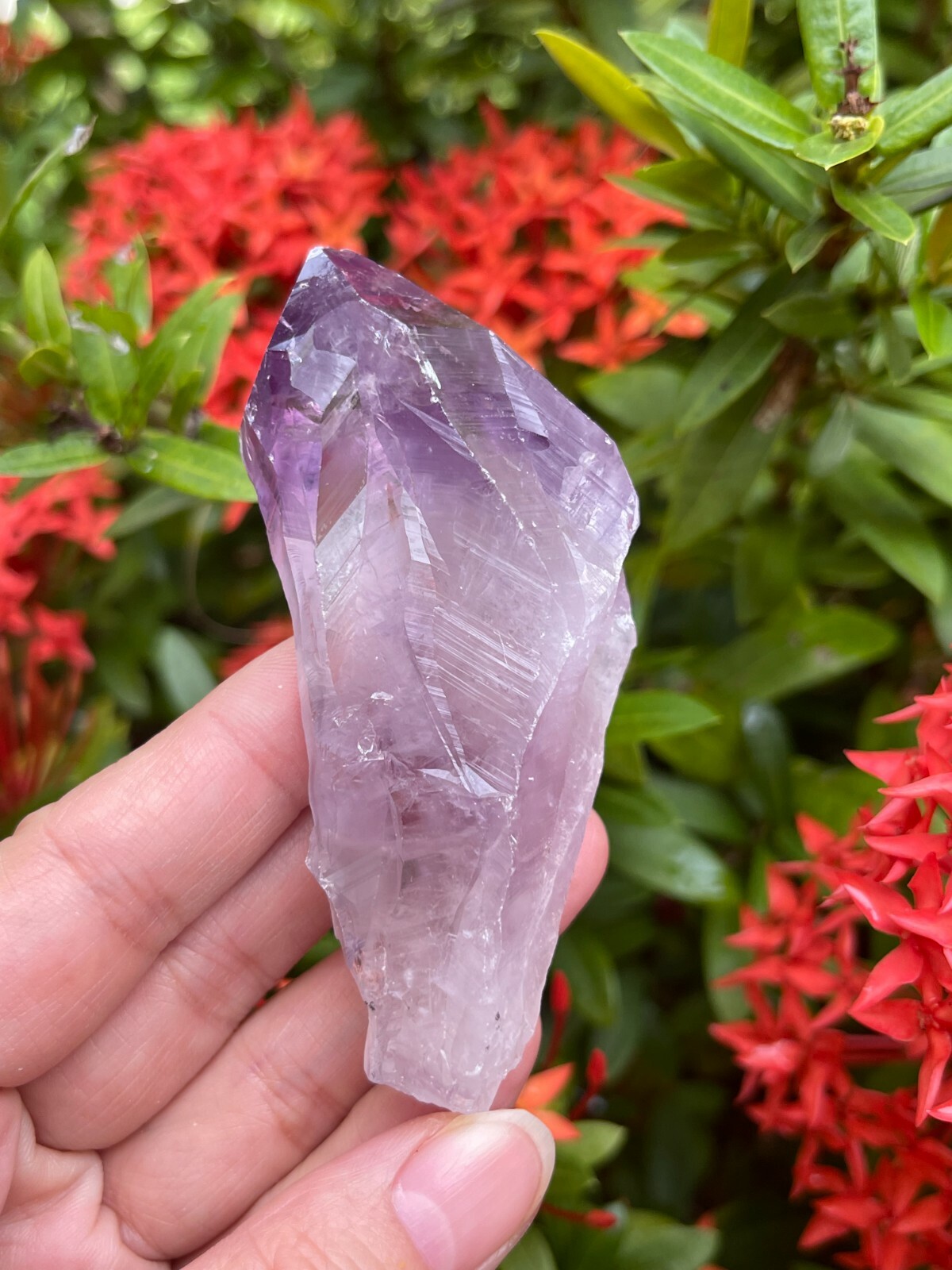 Extra Large Amethyst Rough Points, 2.5 – 3.25″ Raw Amethyst Points, Bulk Lot