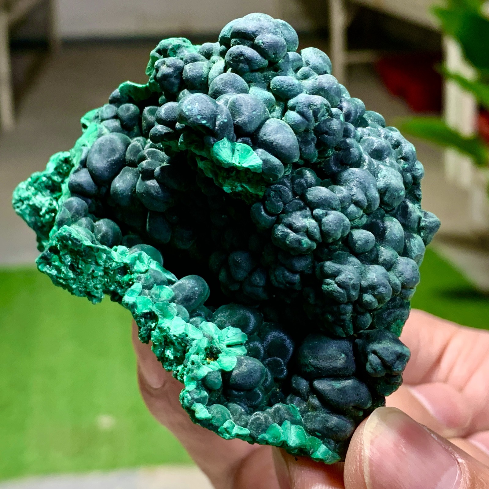 205G Natural glossy malachite cat eye transparent cluster rough mineral Sample