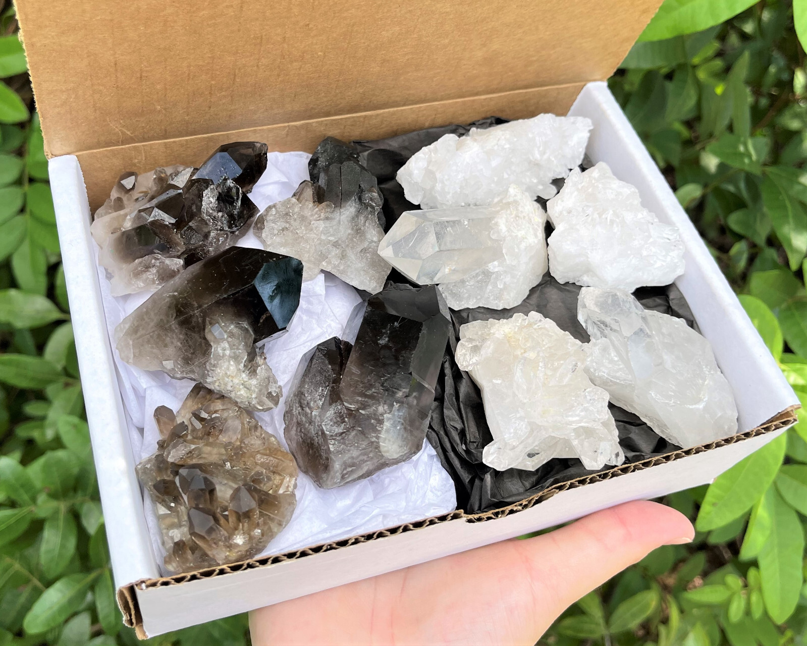 Natural Clear Quartz & Smoky Quartz Crystal Clusters 8-12 Piece Box Lot