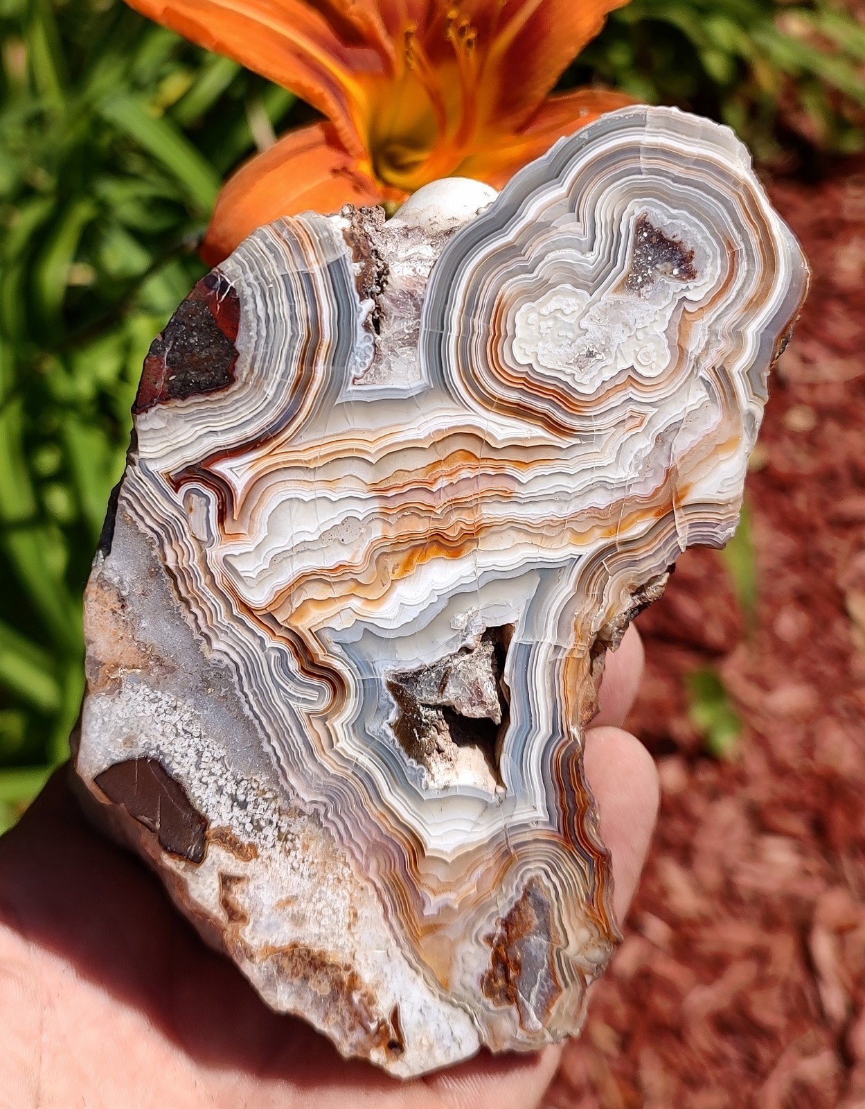 Mexican Crazy Lace Banded Agate, 722g Outstanding Face Polished, Display Agate