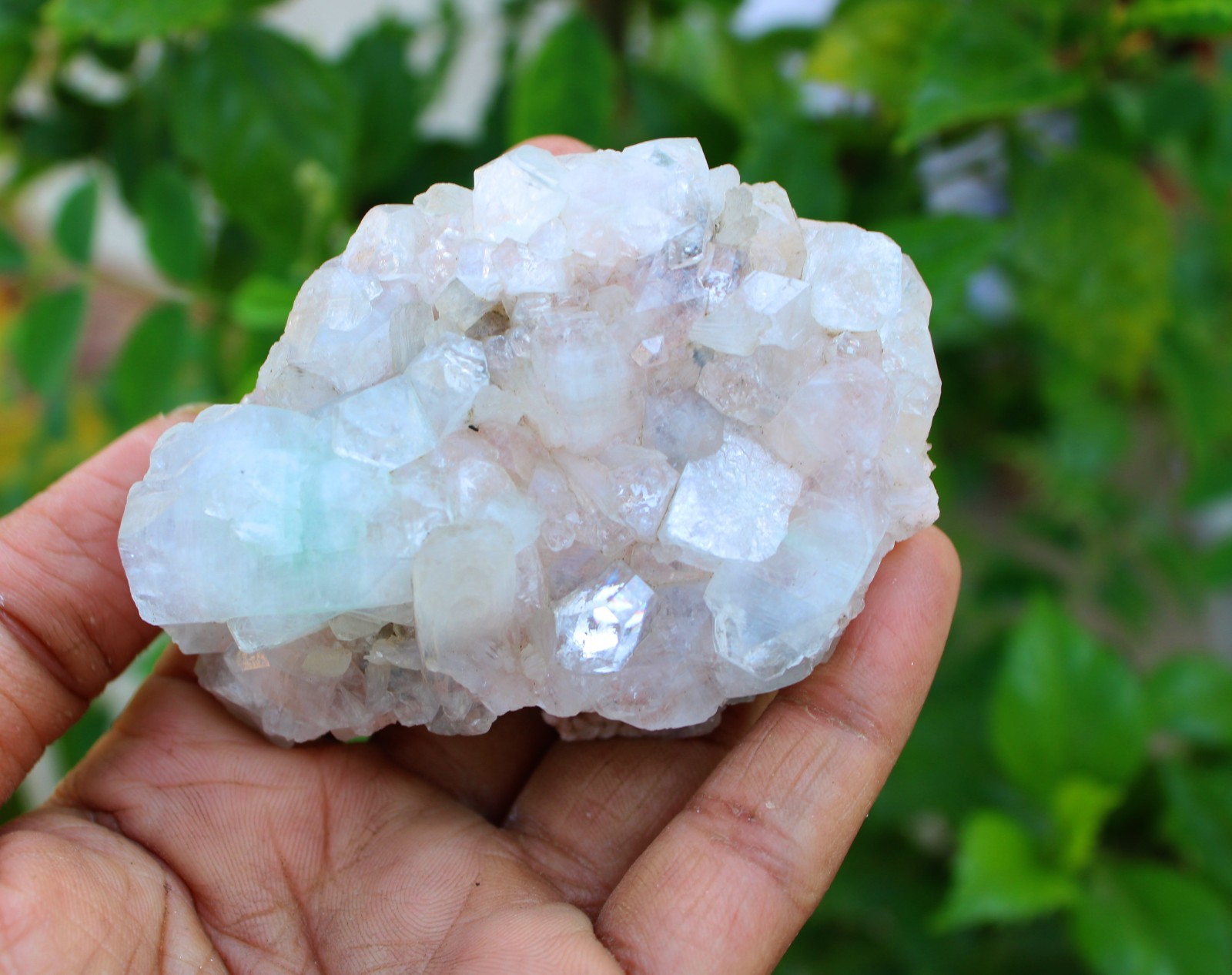 green apophyllite crystals w/ stilbite on matrix minerals specimen #A43