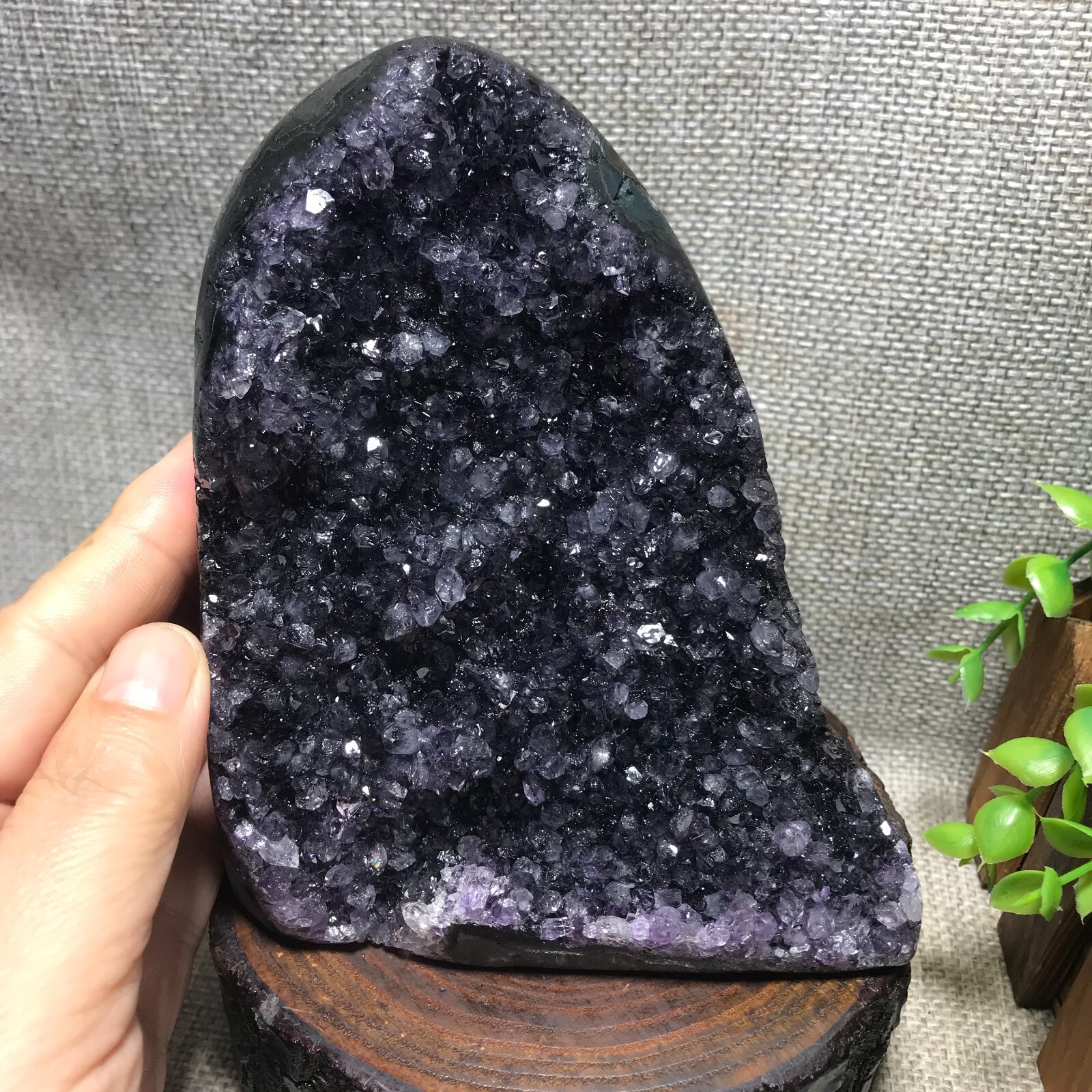 1101g Natural Amethyst Cluster Geodes Cut Base Quartz Crystal Healing 34
