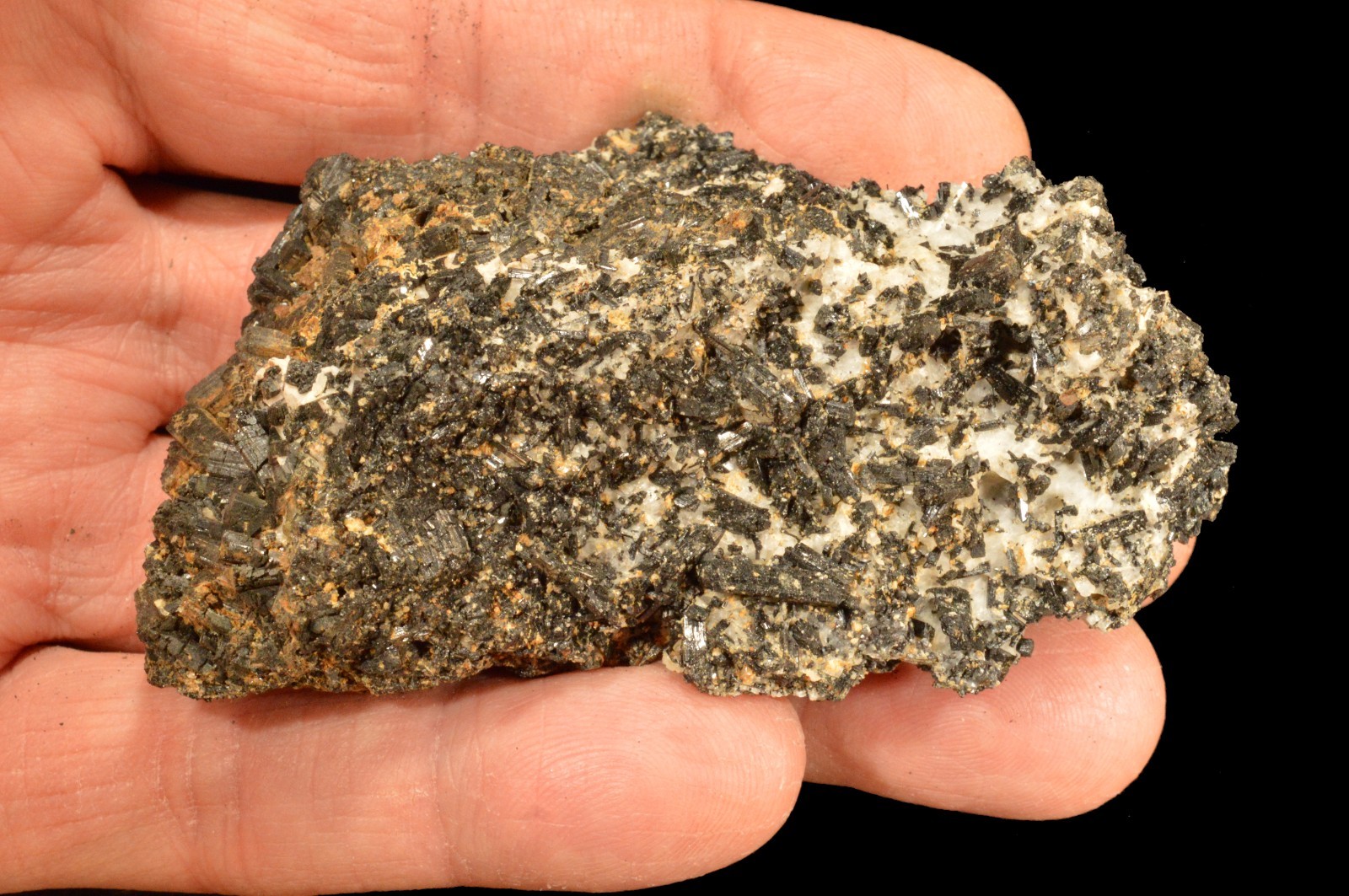 RARE LUDWIGITE CLUSTER 3 1/2″ 7 Oz Museum Quality Specimen Raw Rock Mineral