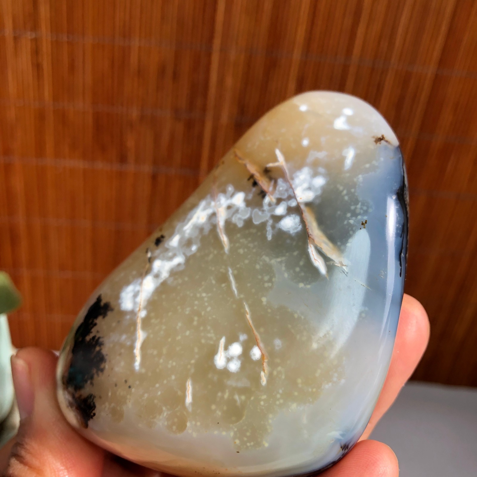 80mm Natural aquatic plants agate pretty Crystal specimens 235g A1485