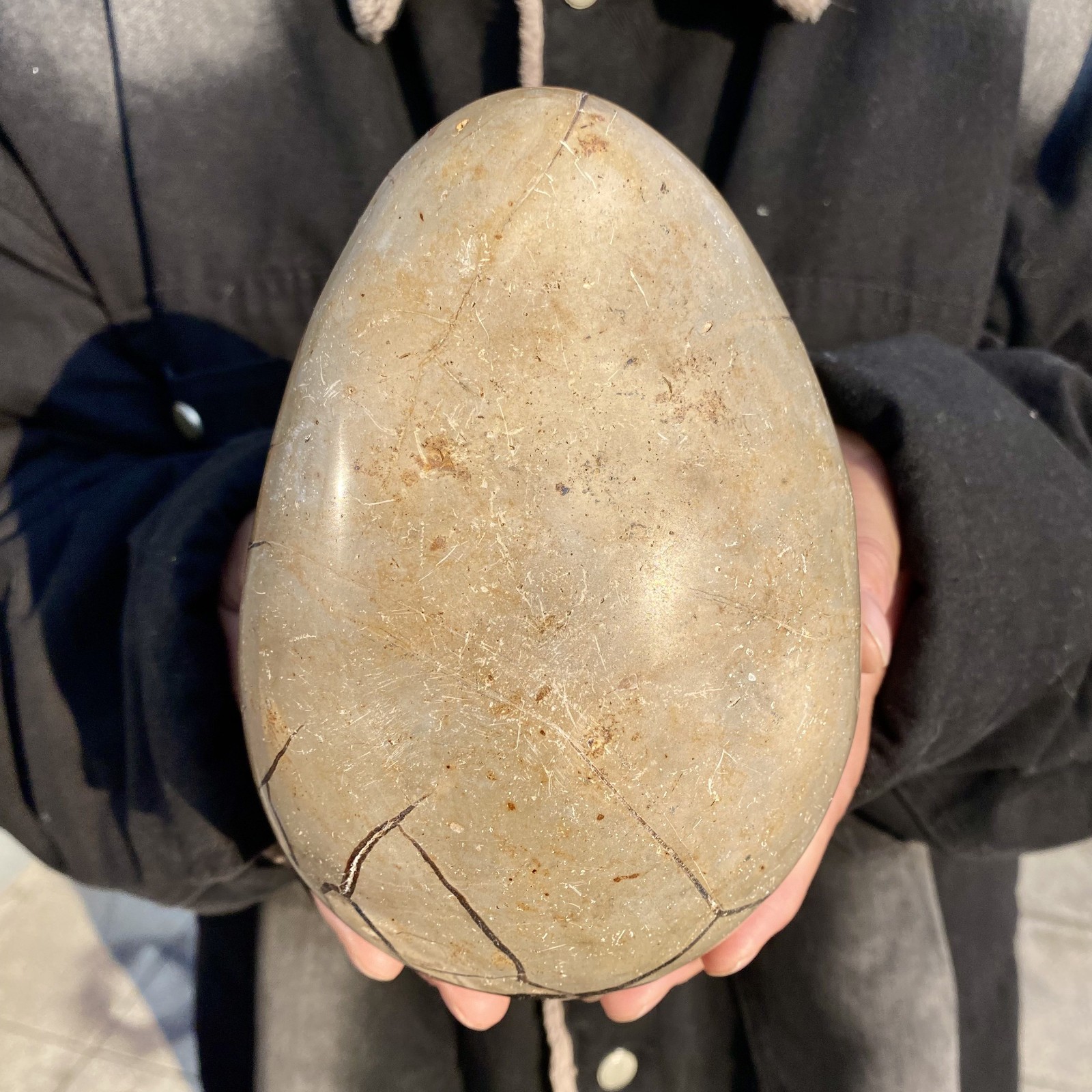 5.2LB natural turtle shell stone egg spiritual healing
