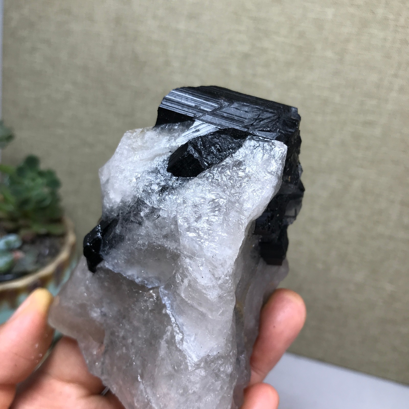 290g Natural tourmaline Crystal paragenesis gemstone original Specimen A4987
