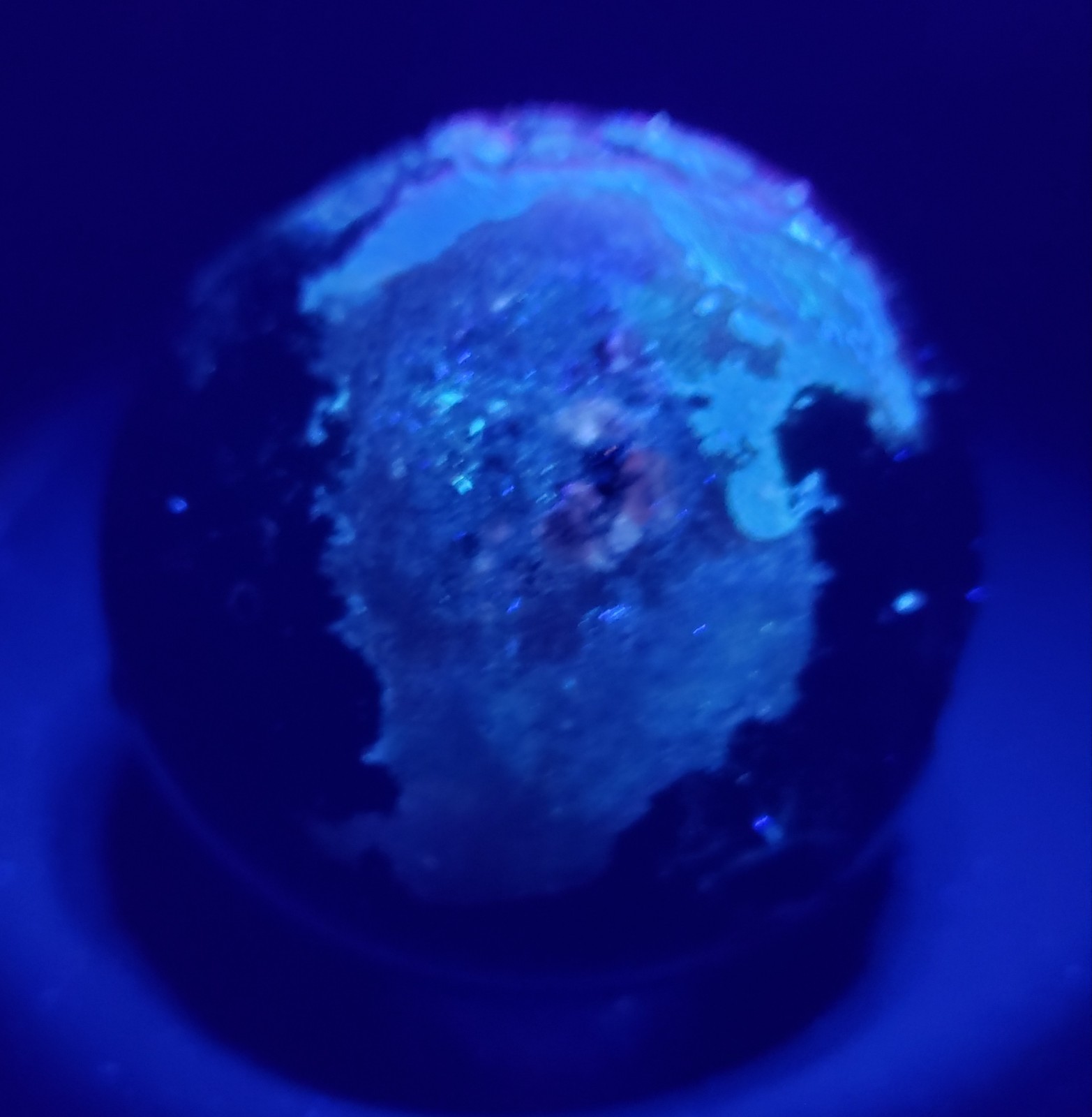 3″ Green Moss Agate Quartz Crystal Mineral Semi-Polished Sphere Ball Orb UV,532g