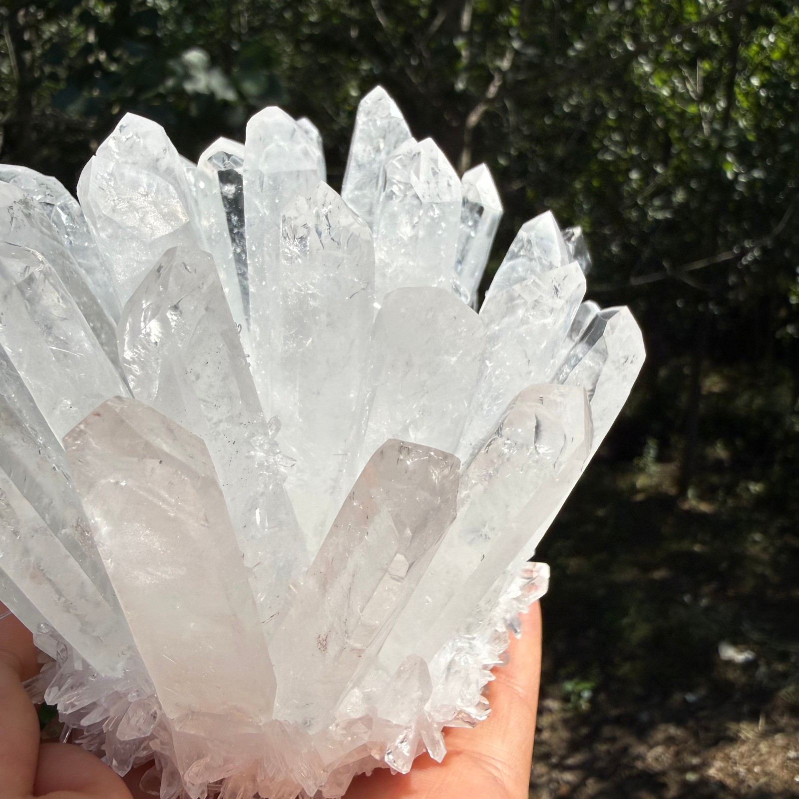 2.2LB Large Natural White Clear Quartz Cluster Crystal Mineral Healing 1pc