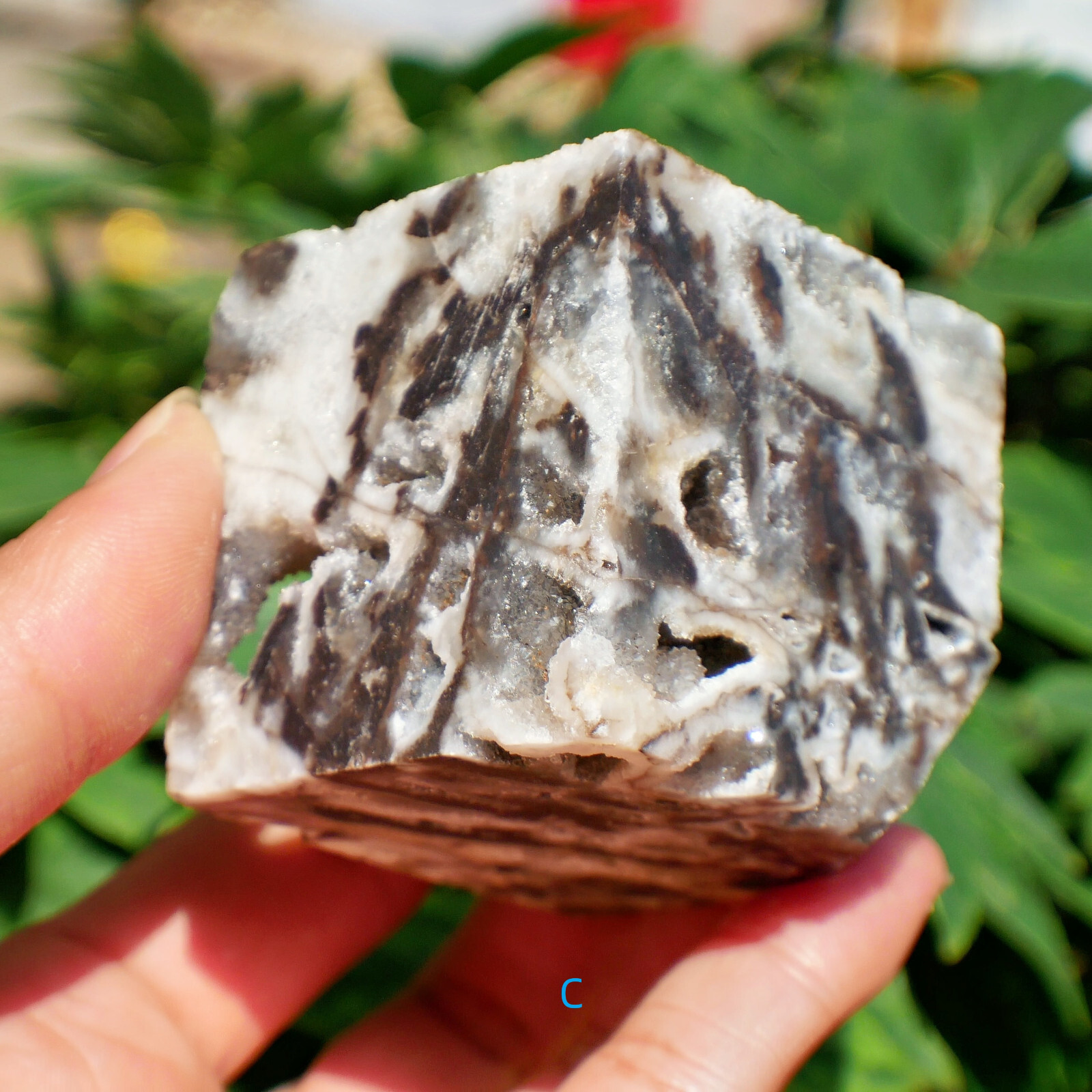 2″ Sphalerite Druzy Geode Cube Crystal Healing Gemstone Natural Mineral Specimen