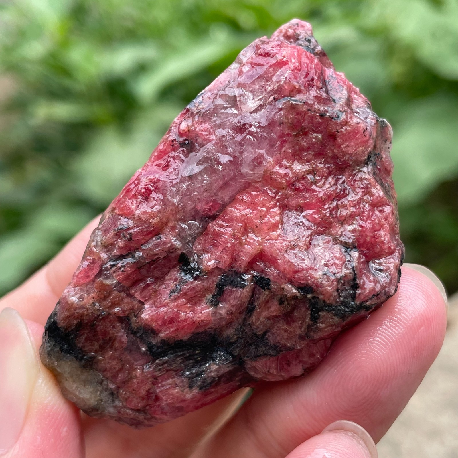 84g Small Raw Ore Red Black Rhodonite Quartz Gemstone Mineral Specimen